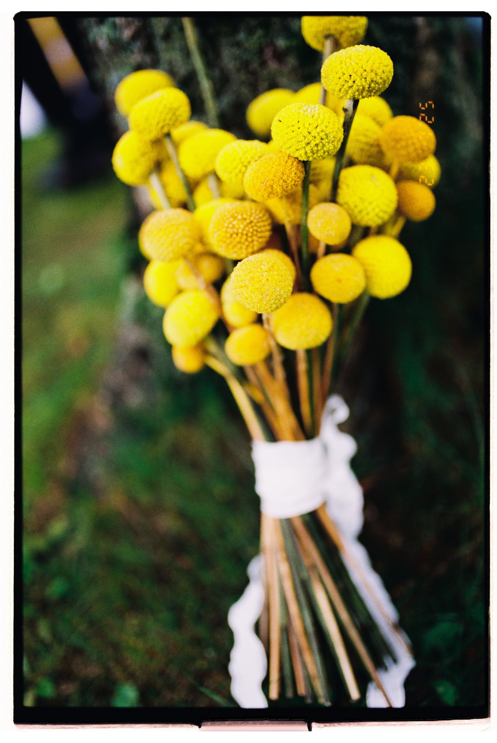 Артем и Полина. Свадебный фотограф в Москве Евгений Рыжов
