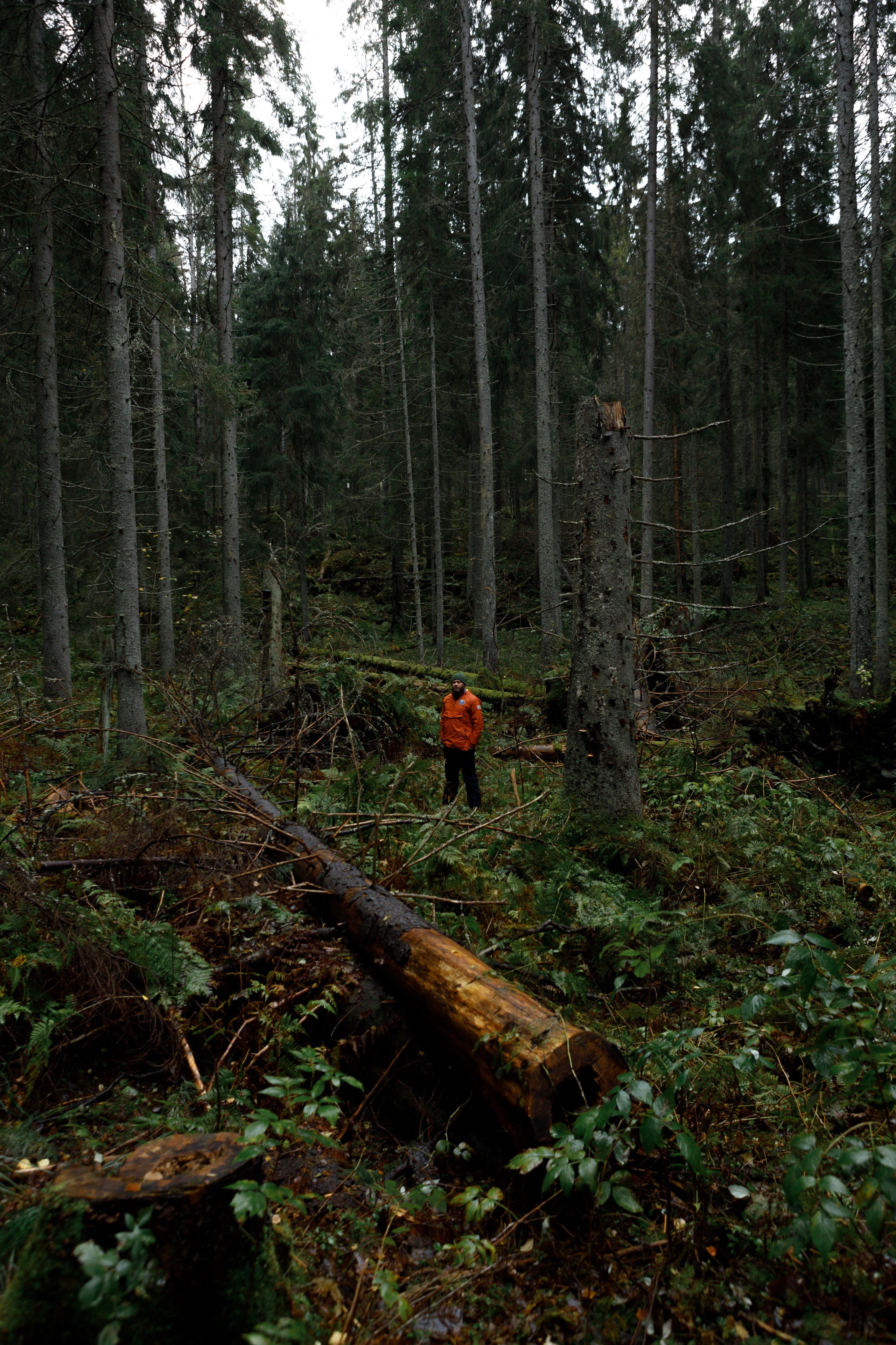 Photos for the Ladoga Skerries National Park. Commercial photographer | Anton Ermakov