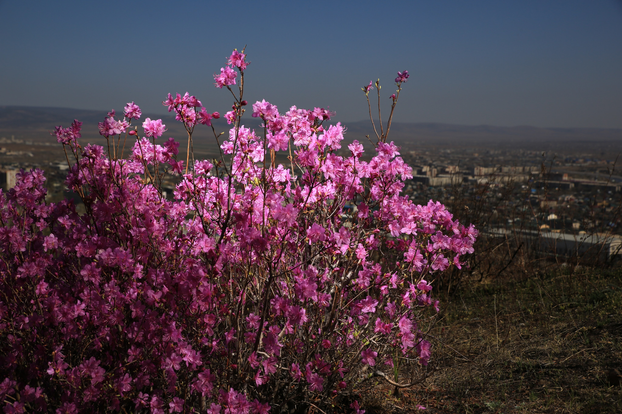 Фото Природы Забайкалья. Студия Максима Белослюдцева