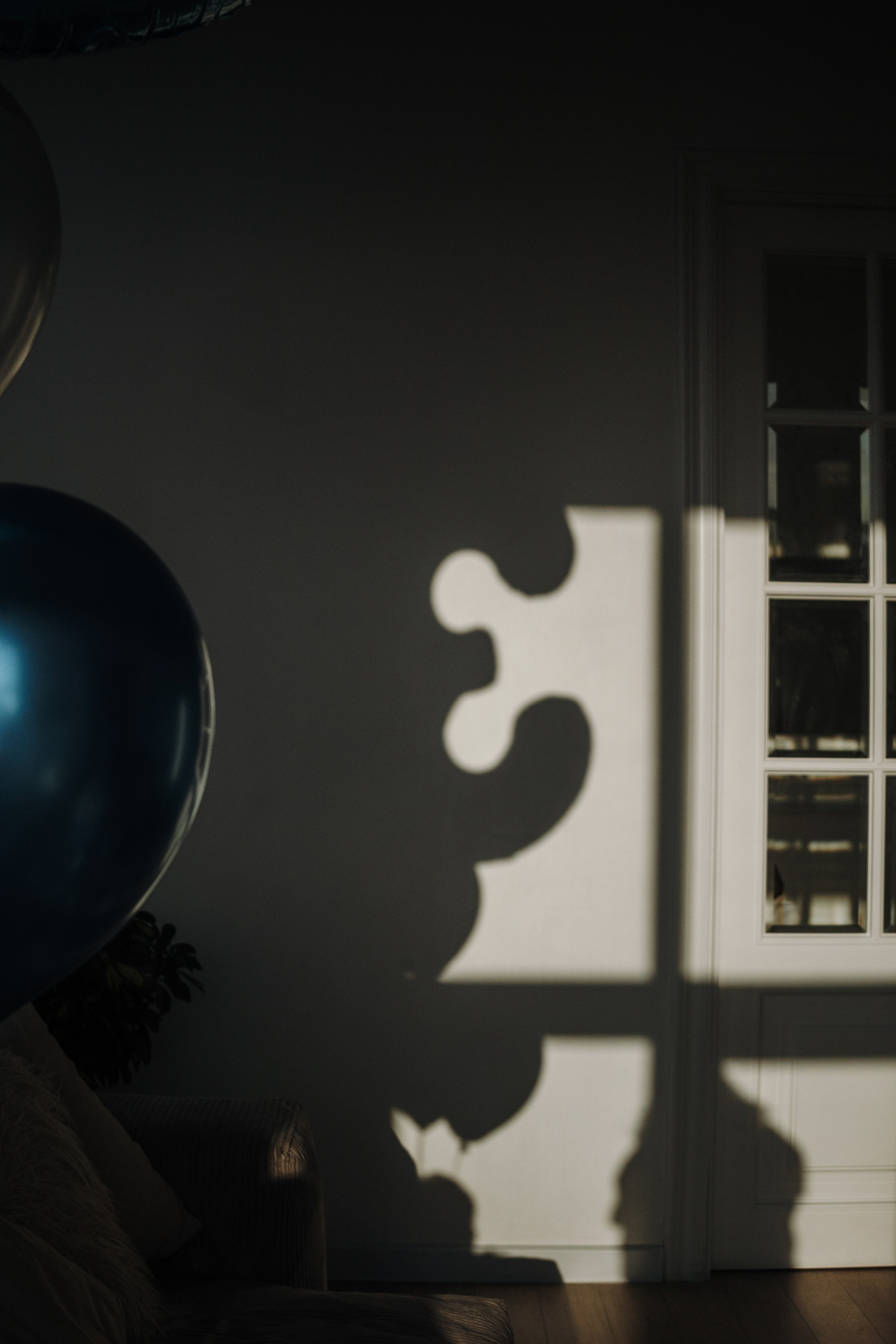 Циско и его семья. Фотограф — Анималист | Санкт-Петербург