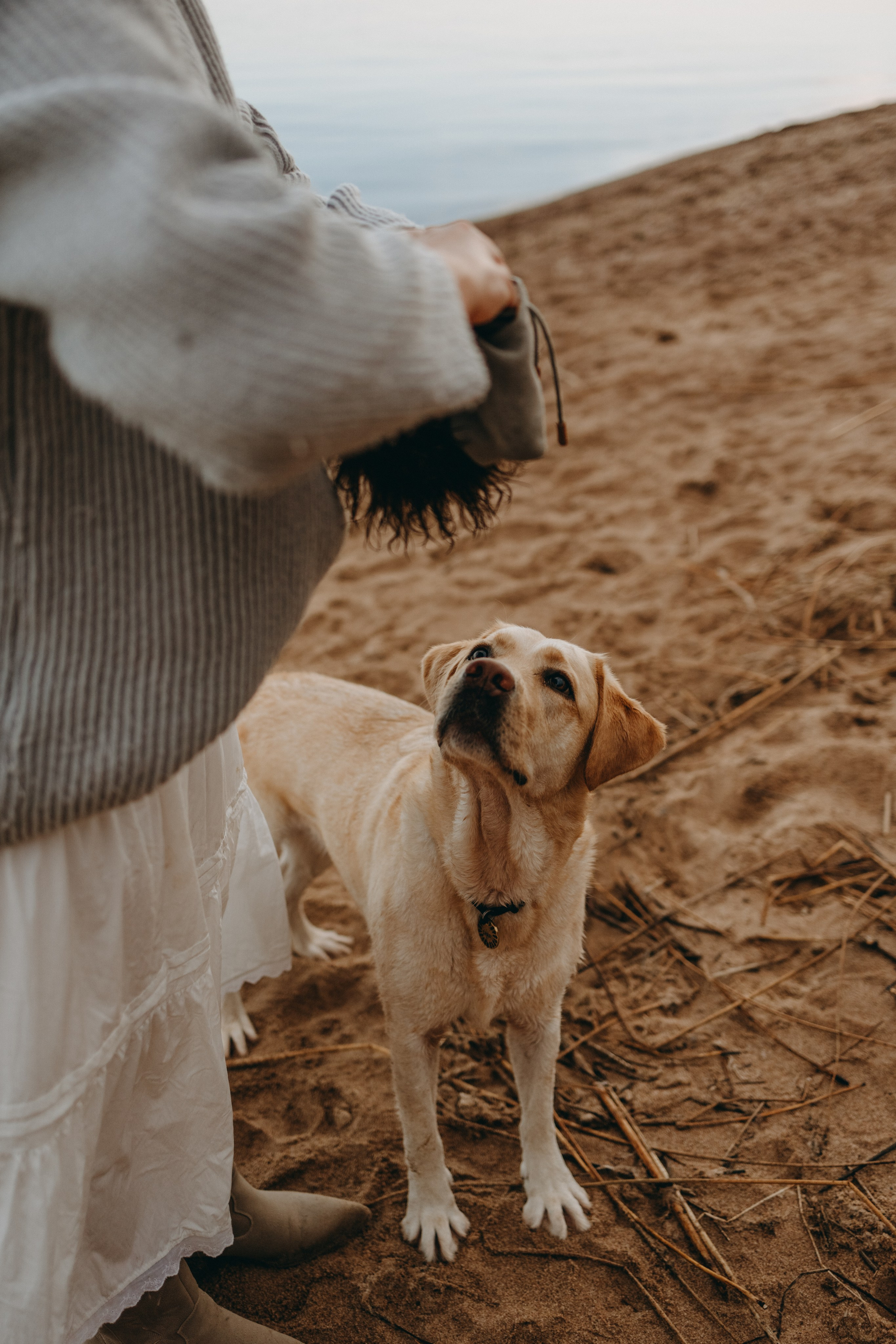 Наташа и Шани. Фотограф — Анималист | Санкт-Петербург
