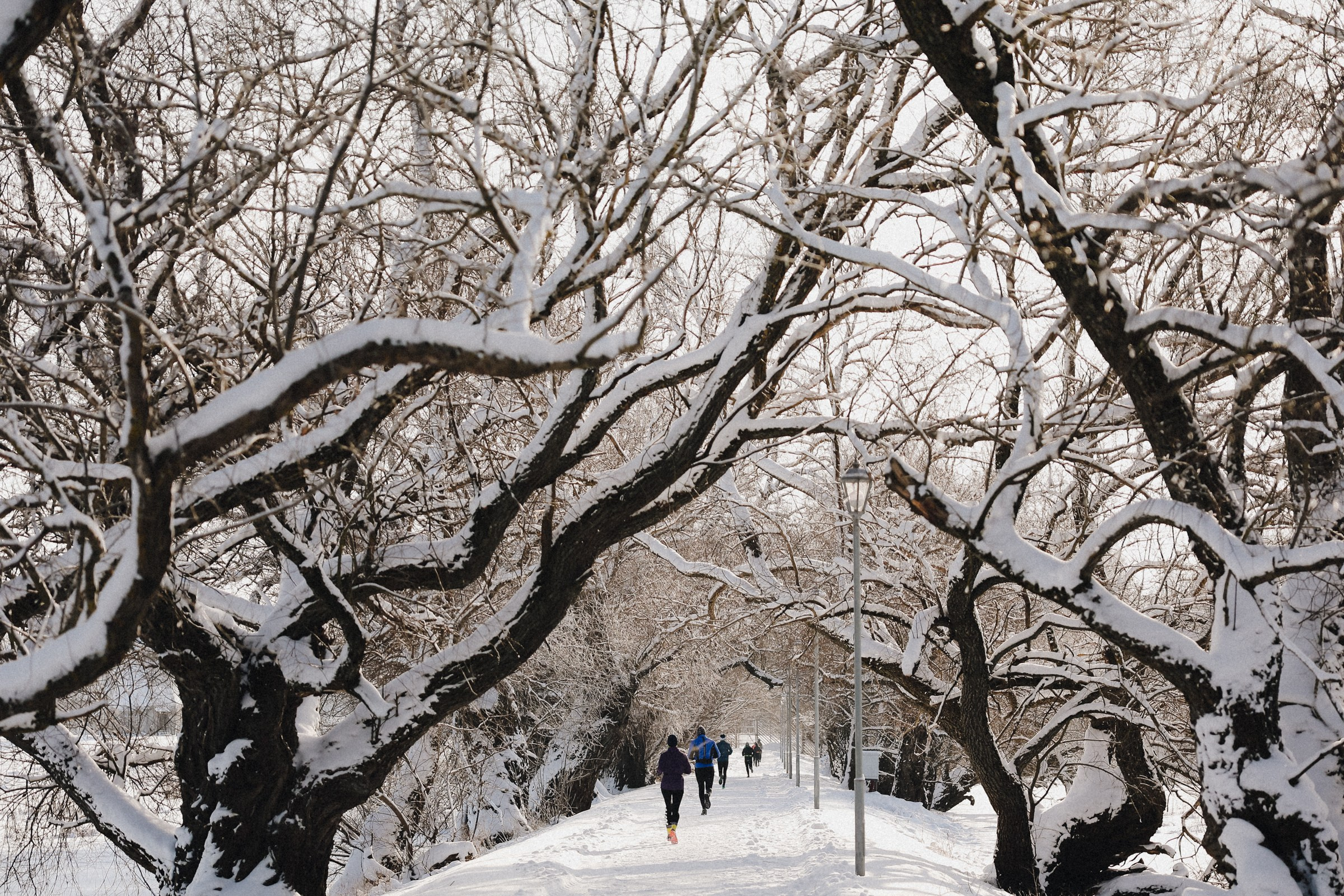 /РЕПОРТАЖ/ NOVGOROD ICE 2025. Свадебный фотограф Великий Новгород Станислав Кособудский