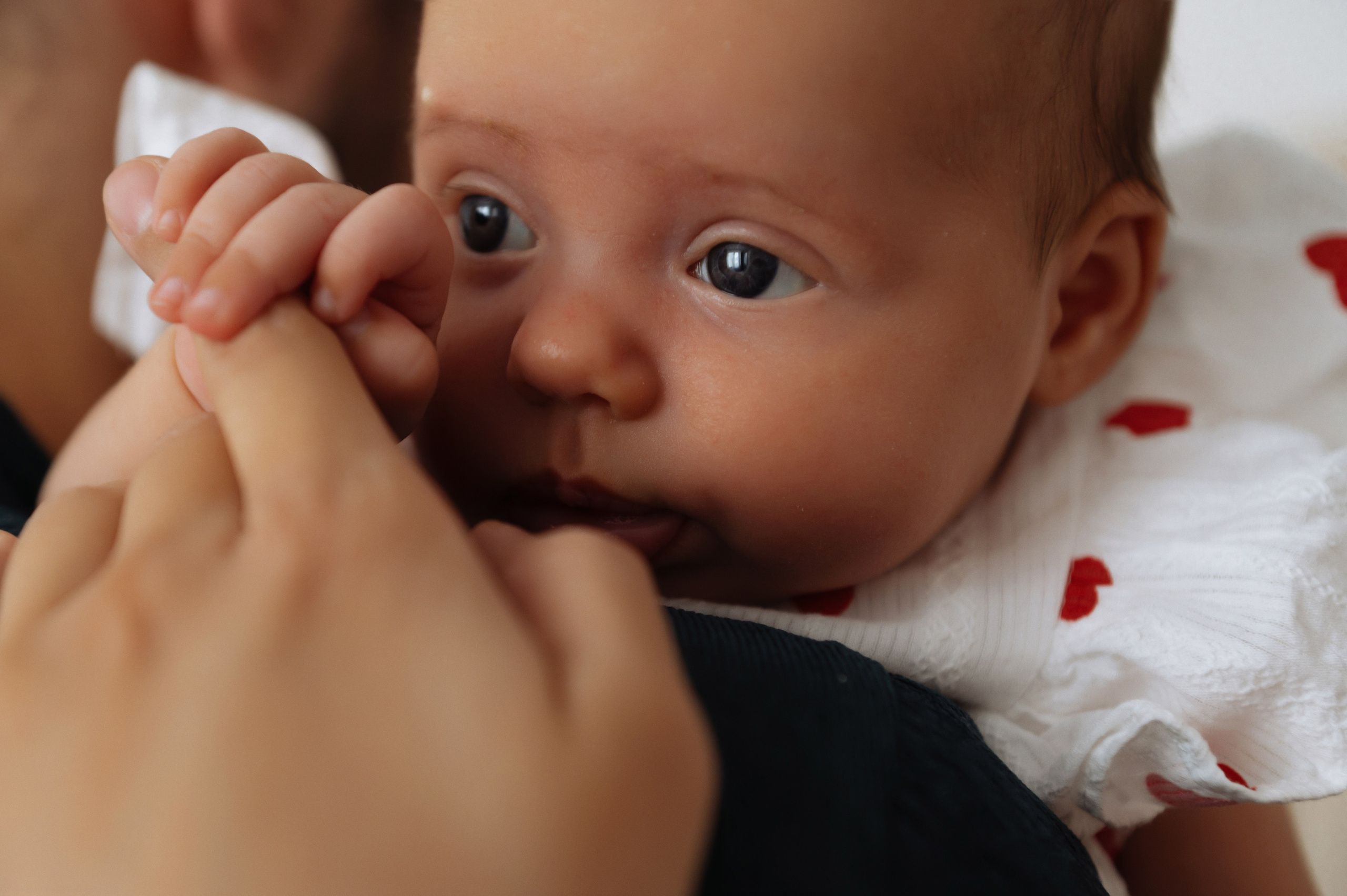 Наташа, Дима и Лера. Свадебный, портретный, фотограф беременности в Нижнем Новгороде Алина Зиновьева