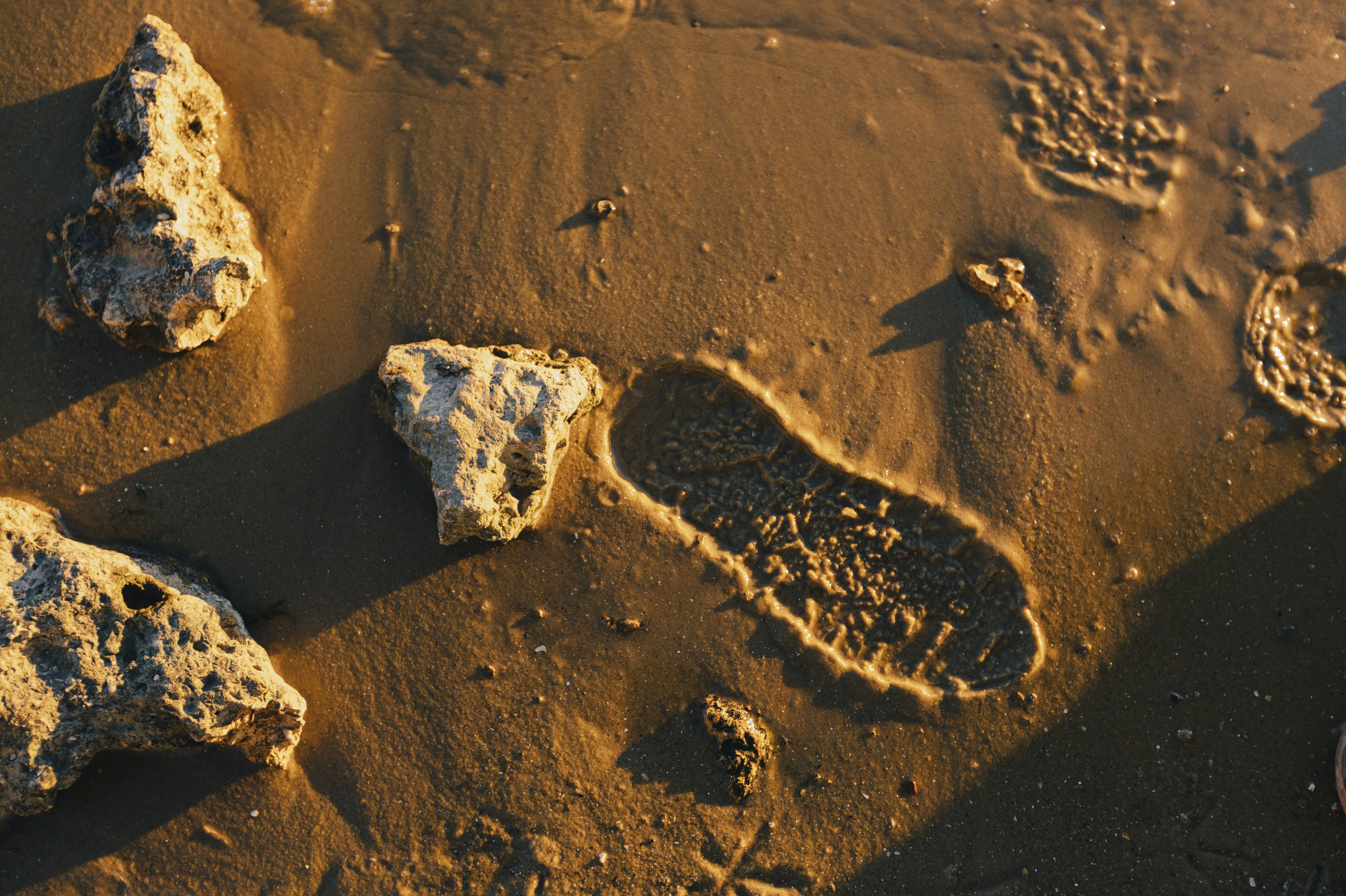 Марина. Фотограф Таганрог Любимая Надя