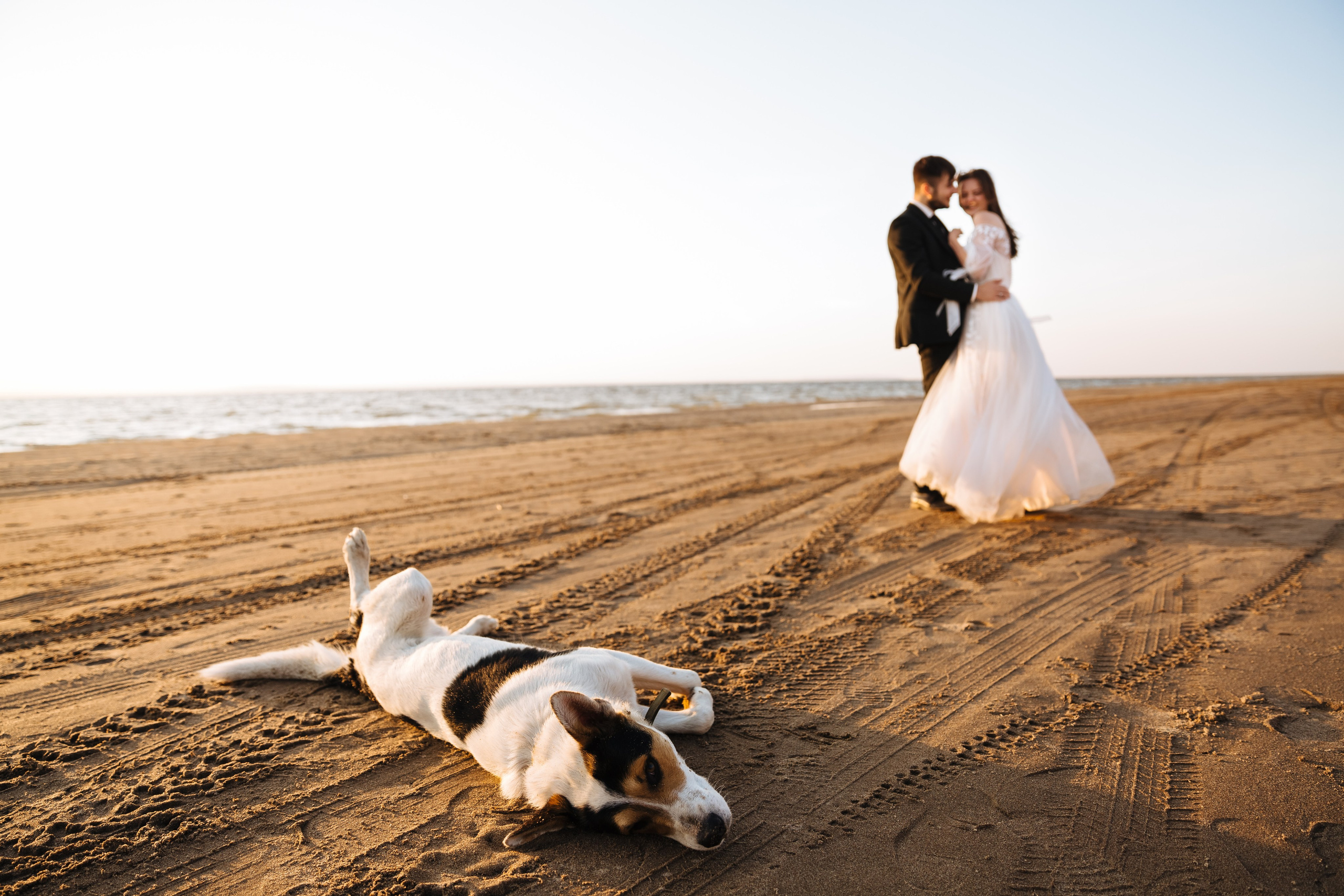 Катя и Антон. Фотограф в Москве Ирина Малахова