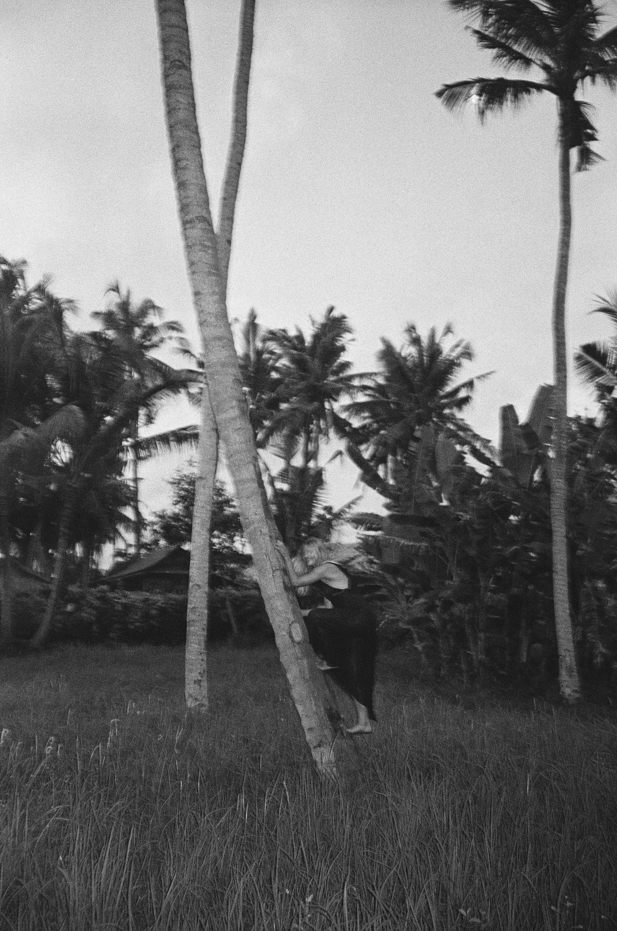 Who u are?. Carolinetru