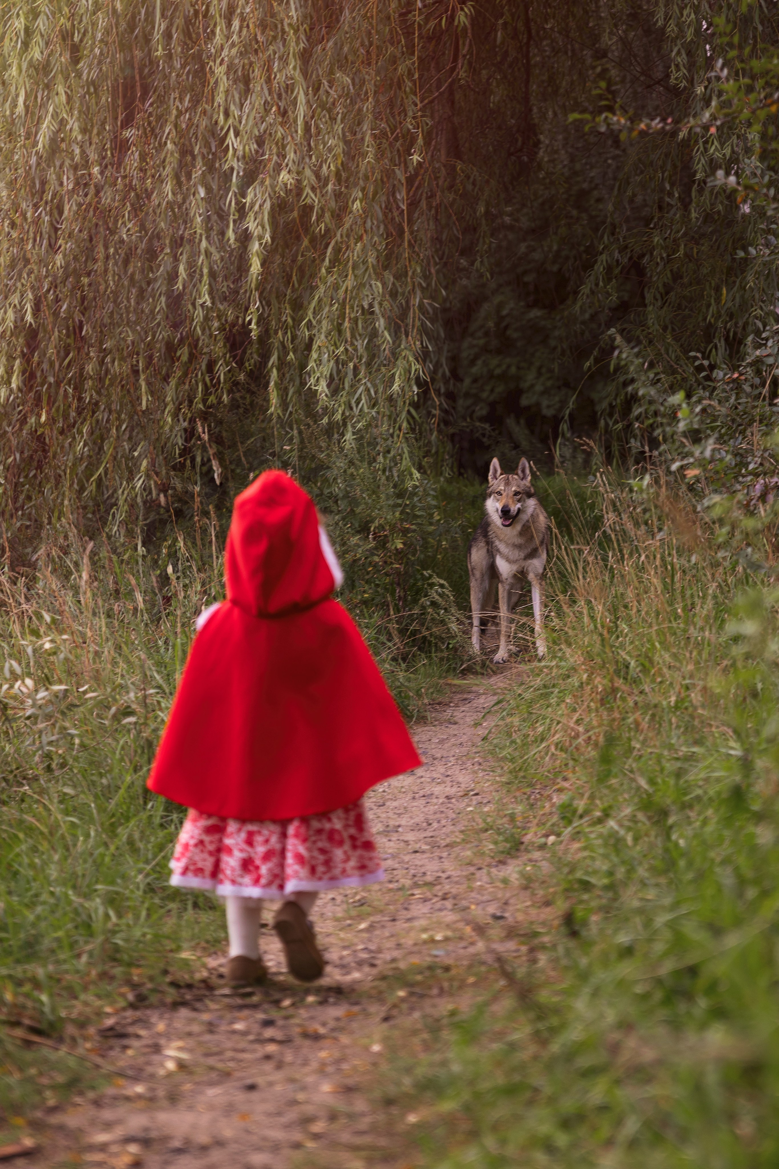 История невероятно храброй и милой Красной шапочки). Трубинова Екатерина | Семейный фотограф | Москва