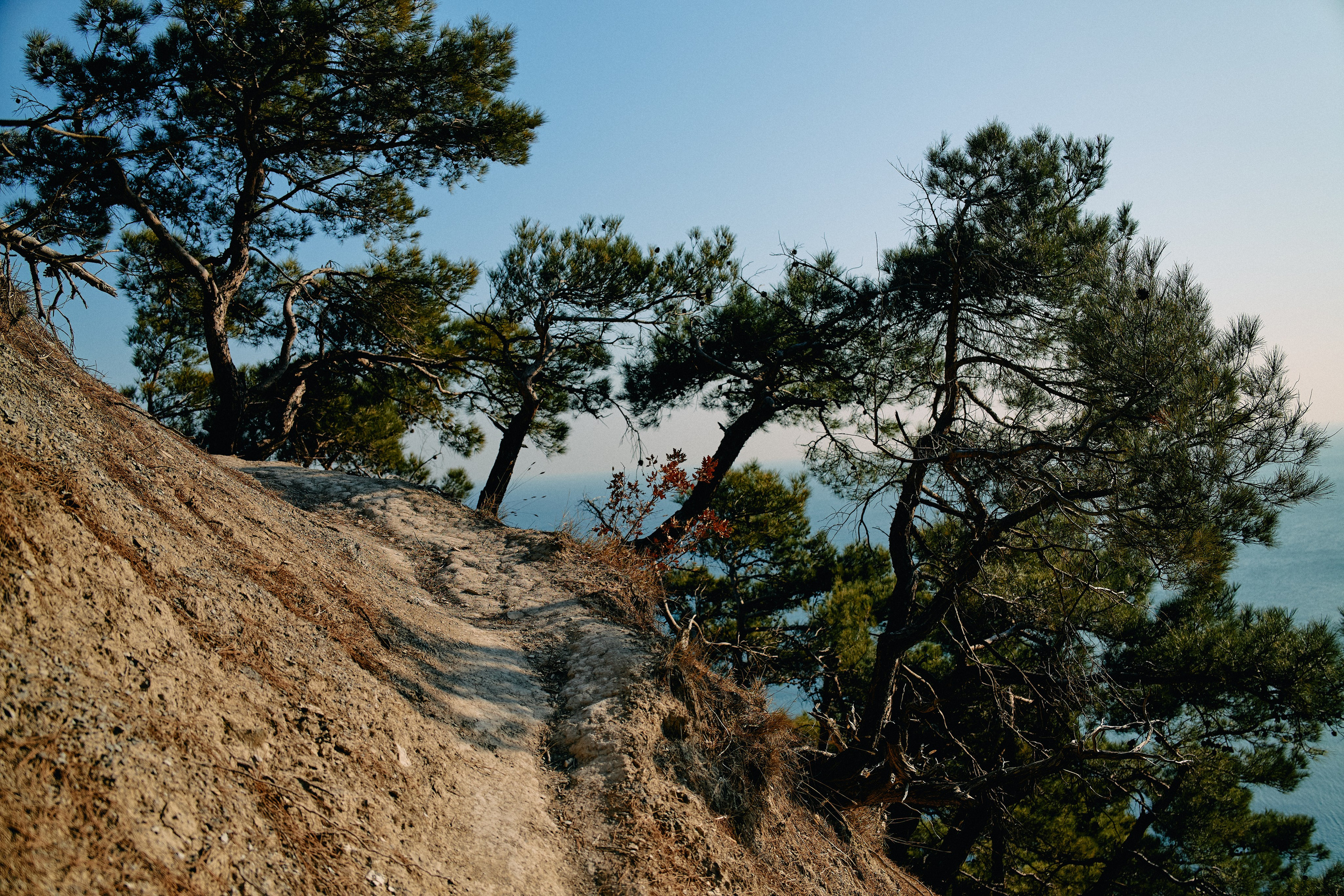 Юг России. Профессиональный Фотограф во Владимире, в Москве и в Суздале — Полина Романычева