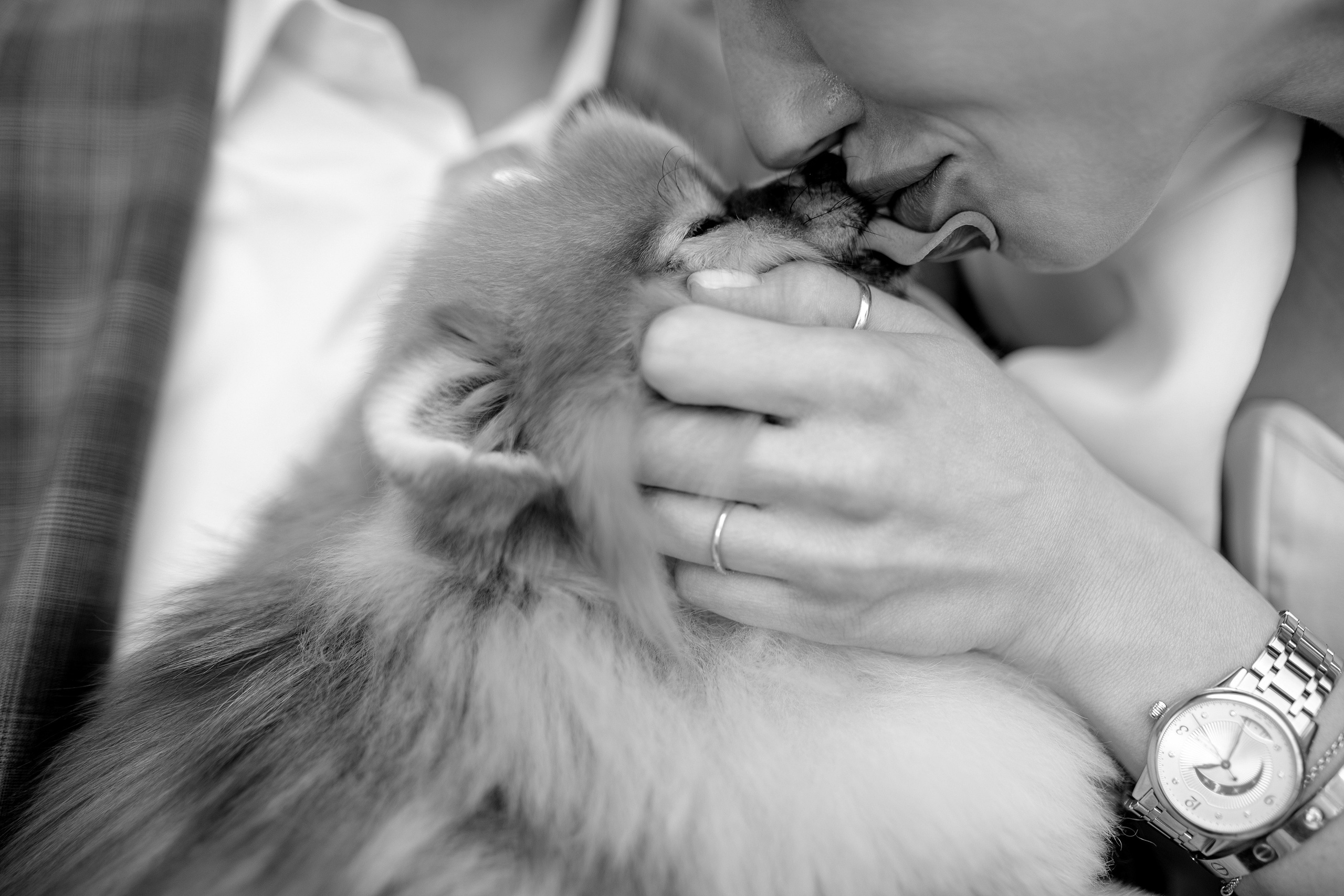 Лена и Леша. Свадебный фотограф ростов-на-Дону / Сочи / Москва