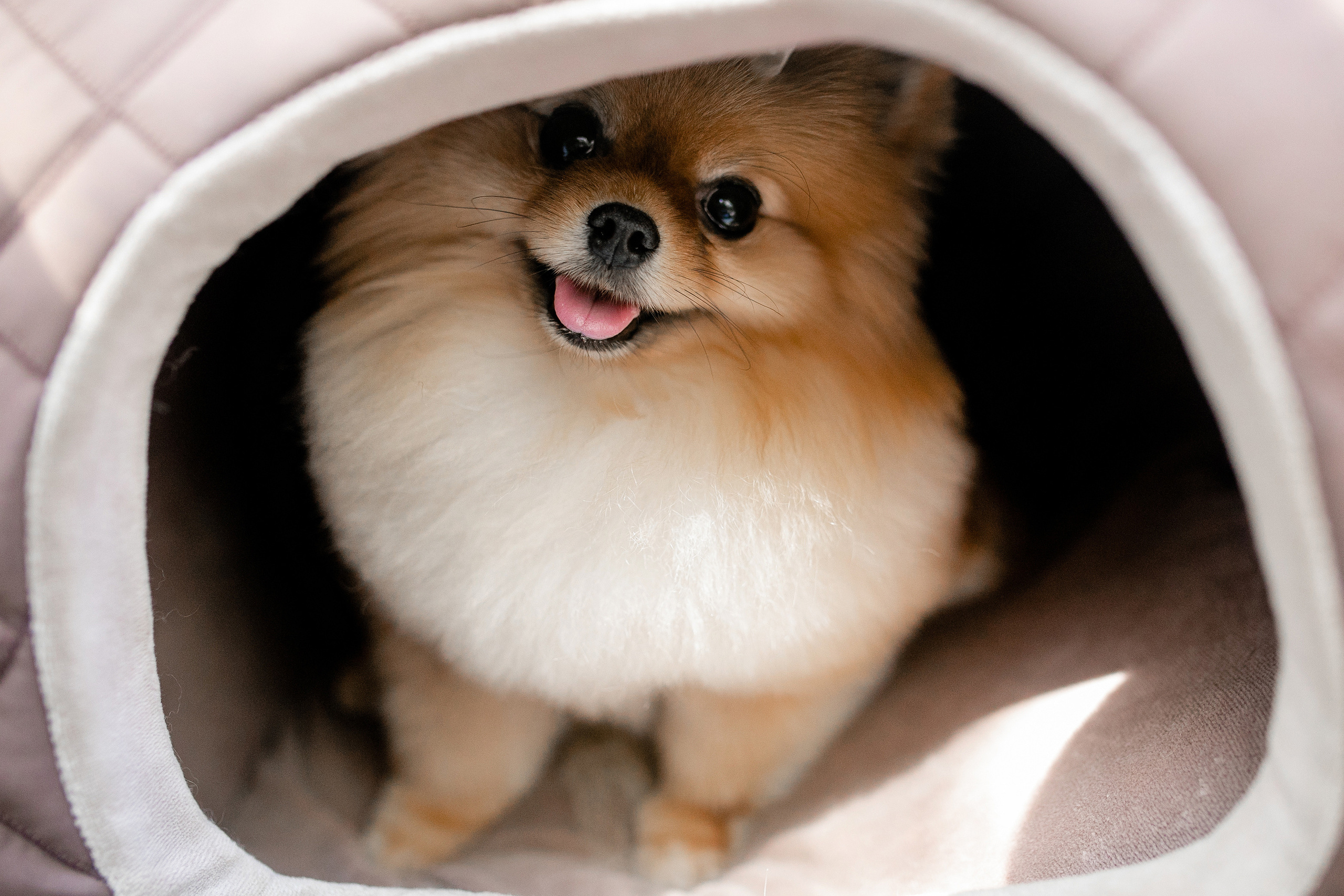 Лена и Леша. Свадебный фотограф ростов-на-Дону / Сочи / Москва