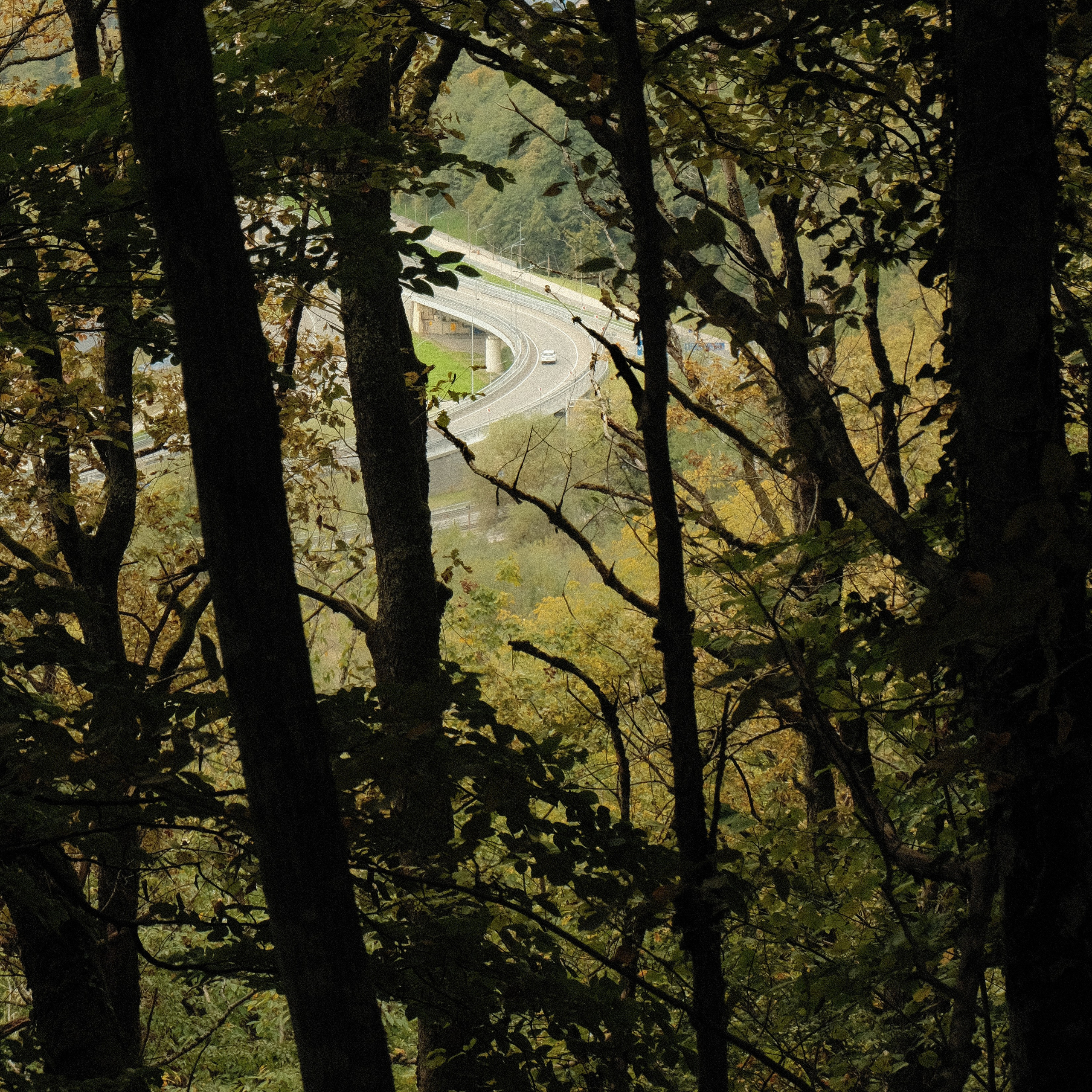 Krasnaya Polyana. Creative travel photographer — Berg Daria