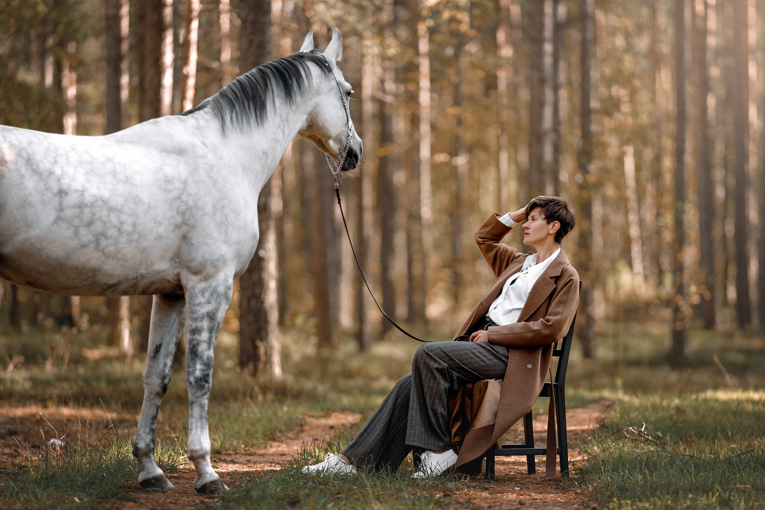 Фотосессии с лошадьми. Фотограф Артемьева Катерина|фотосессии с лошадьми