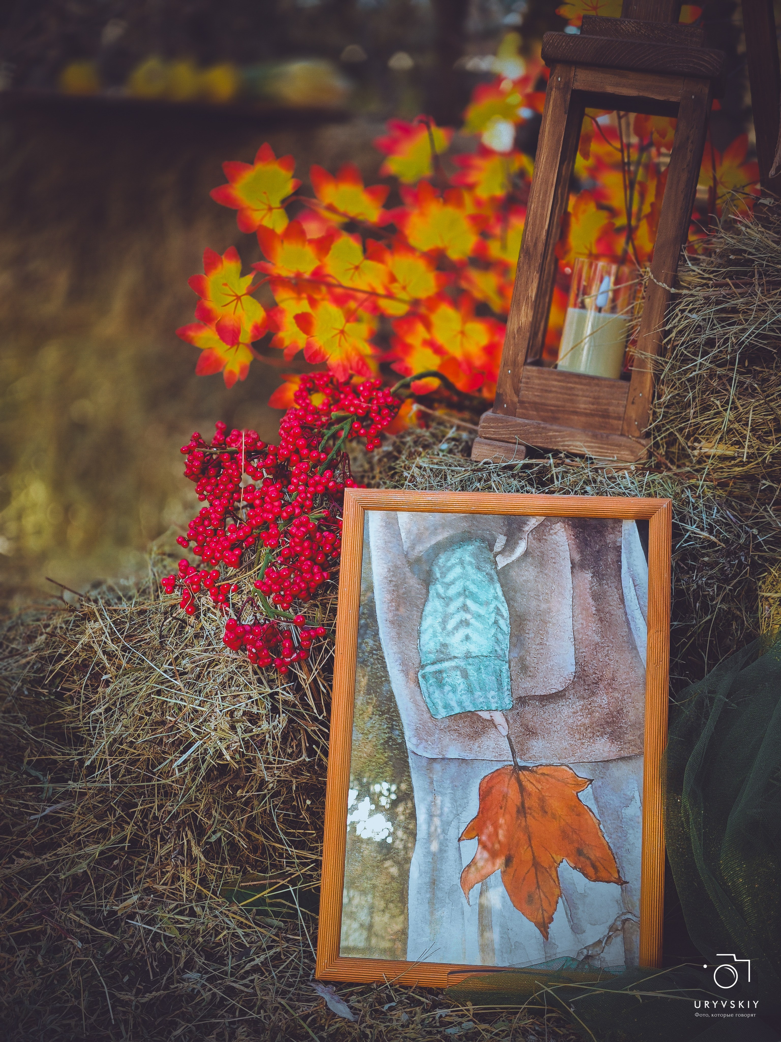 Bellini Осенний маркет. Игорь Урывский. Фотограф Красноярск