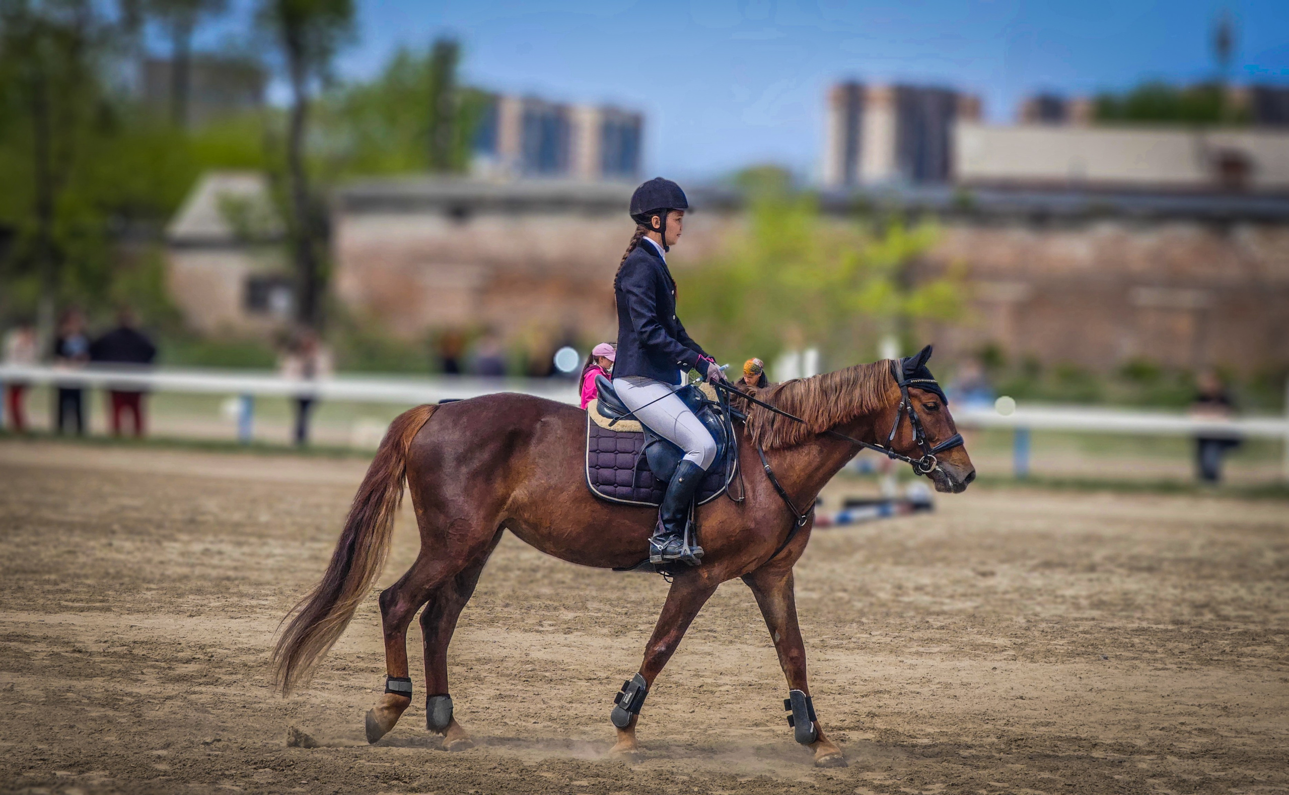 Красноярский ипподром. Открытие сезона 2025. Игорь Урывский. Фотограф Красноярск