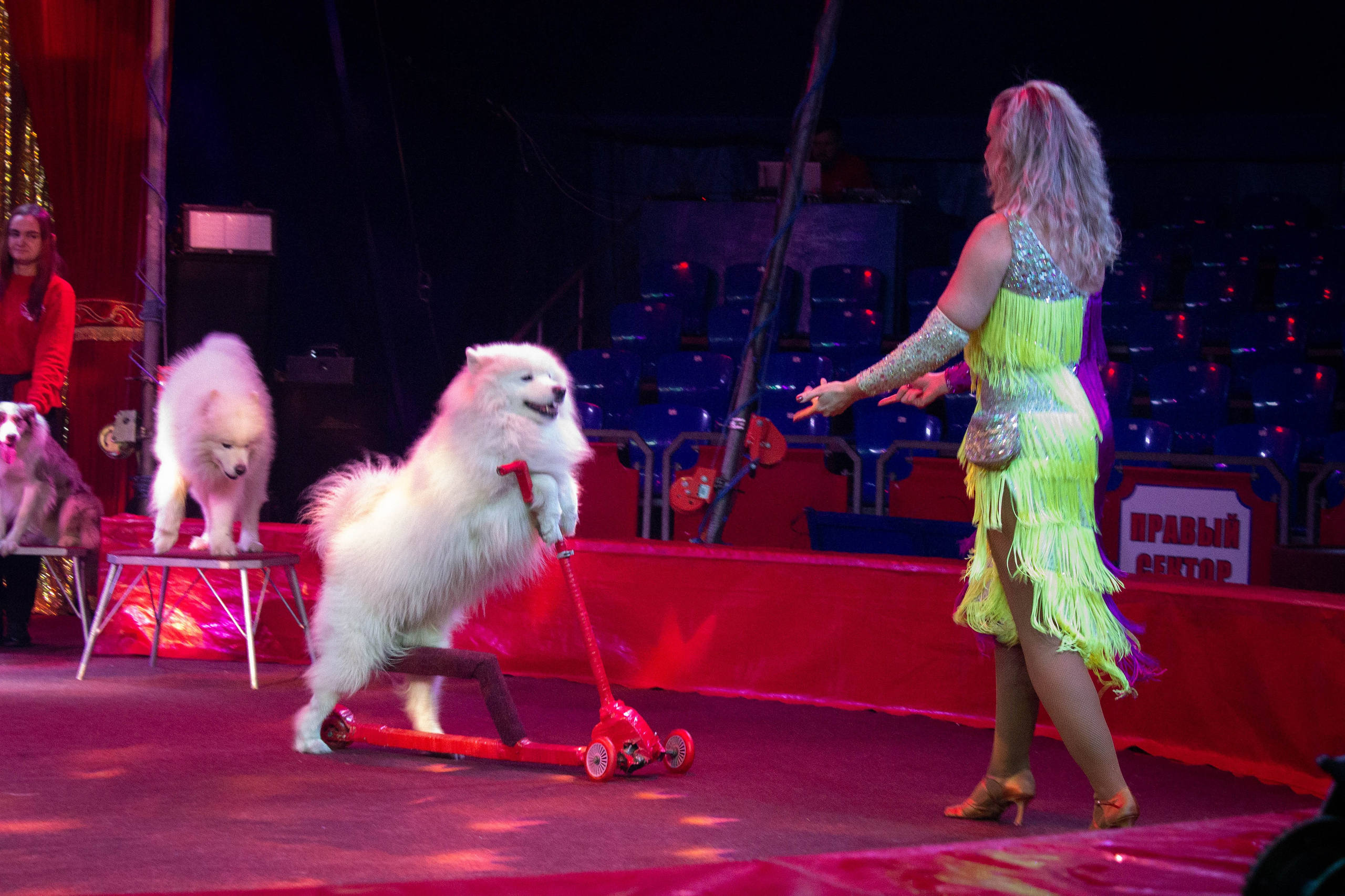 Репортаж шоу| представлений. Фотограф Диана Грачёва