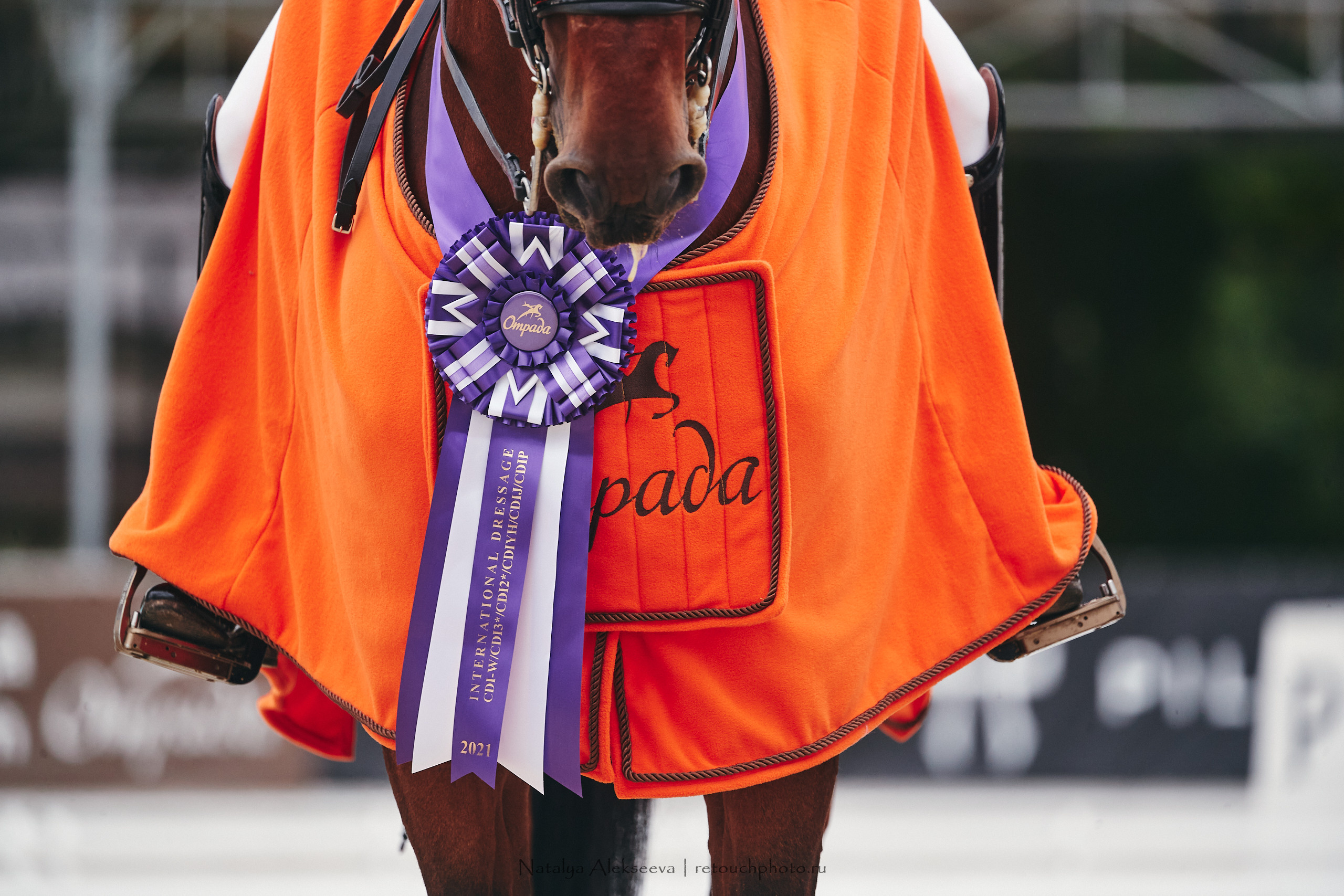 CDI-W/3*/3*/J/YH, КСК Отрада | 09'2021. Репортажный фотограф и ретушер в Москве Наталья Алексеева