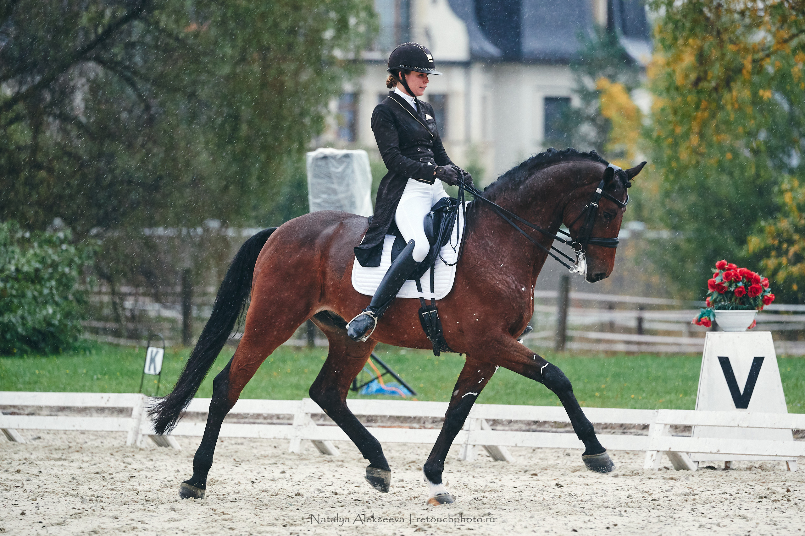 Личный Чемпионат России по выездке, КСК Новый Век | 09'2021. Репортажный фотограф и ретушер в Москве Наталья Алексеева