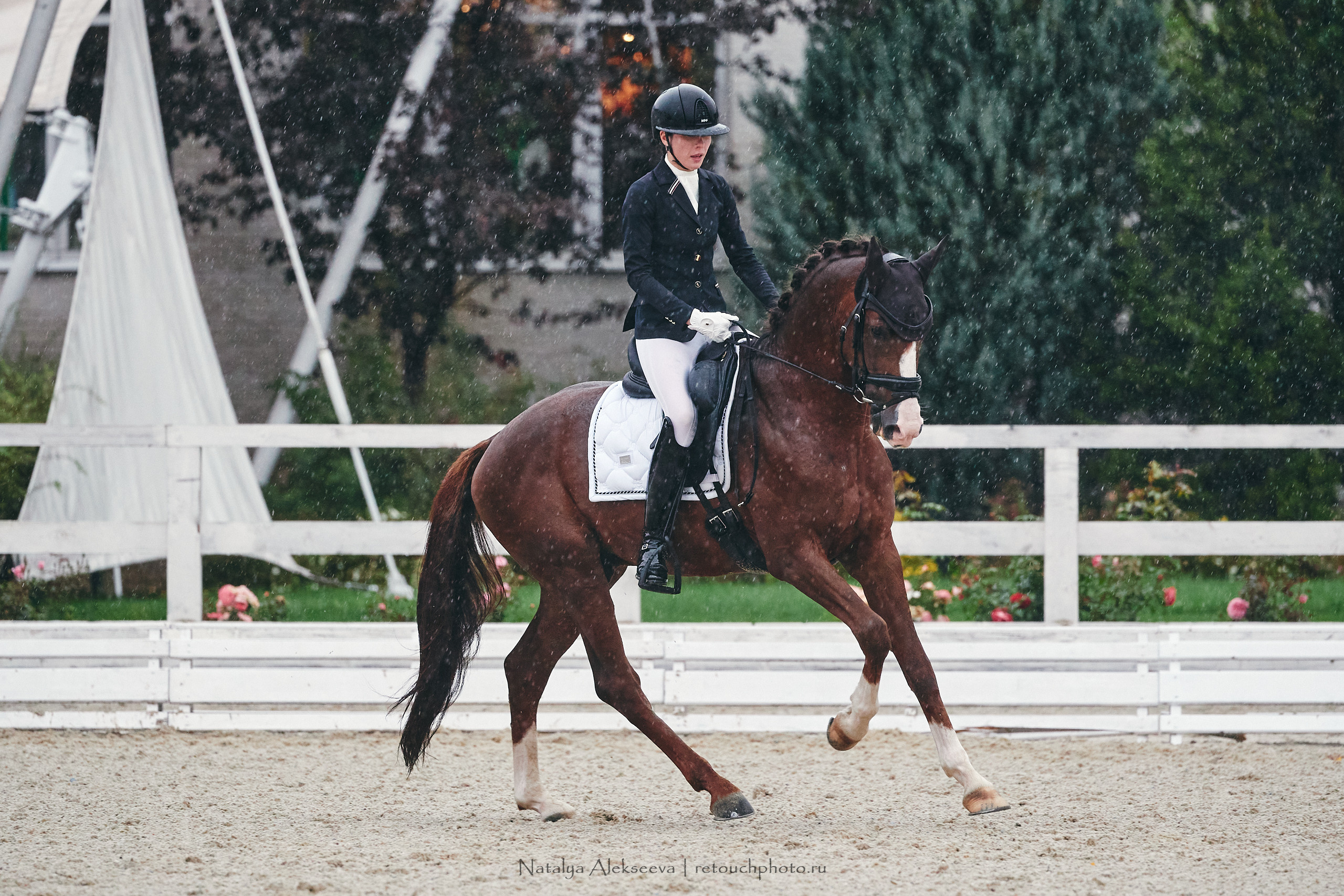 CDI-W/3*/3*/J/YH, КСК Отрада | 09'2021. Репортажный фотограф и ретушер в Москве Наталья Алексеева