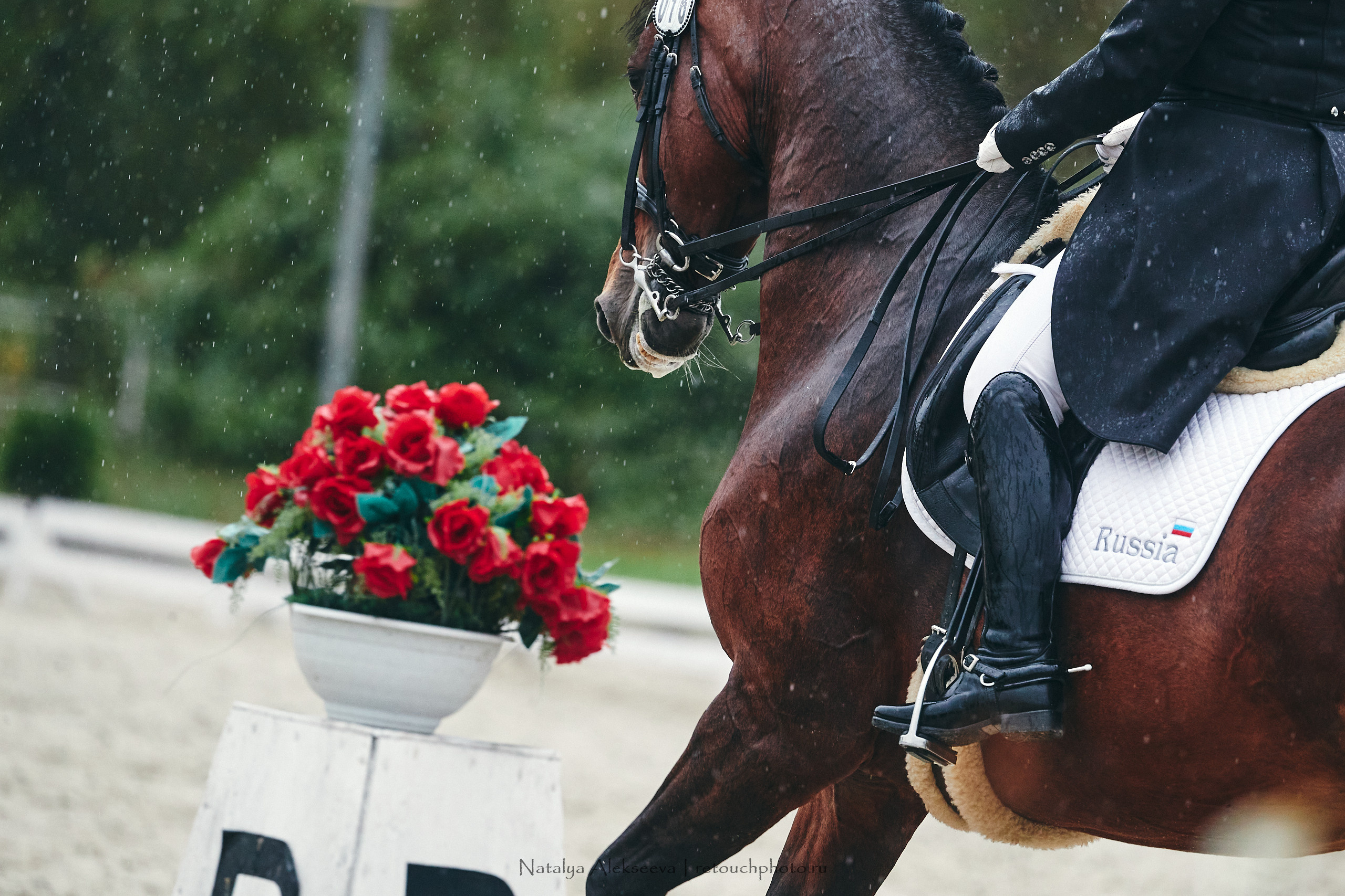 Личный Чемпионат России по выездке, КСК Новый Век | 09'2021. Репортажный фотограф и ретушер в Москве Наталья Алексеева