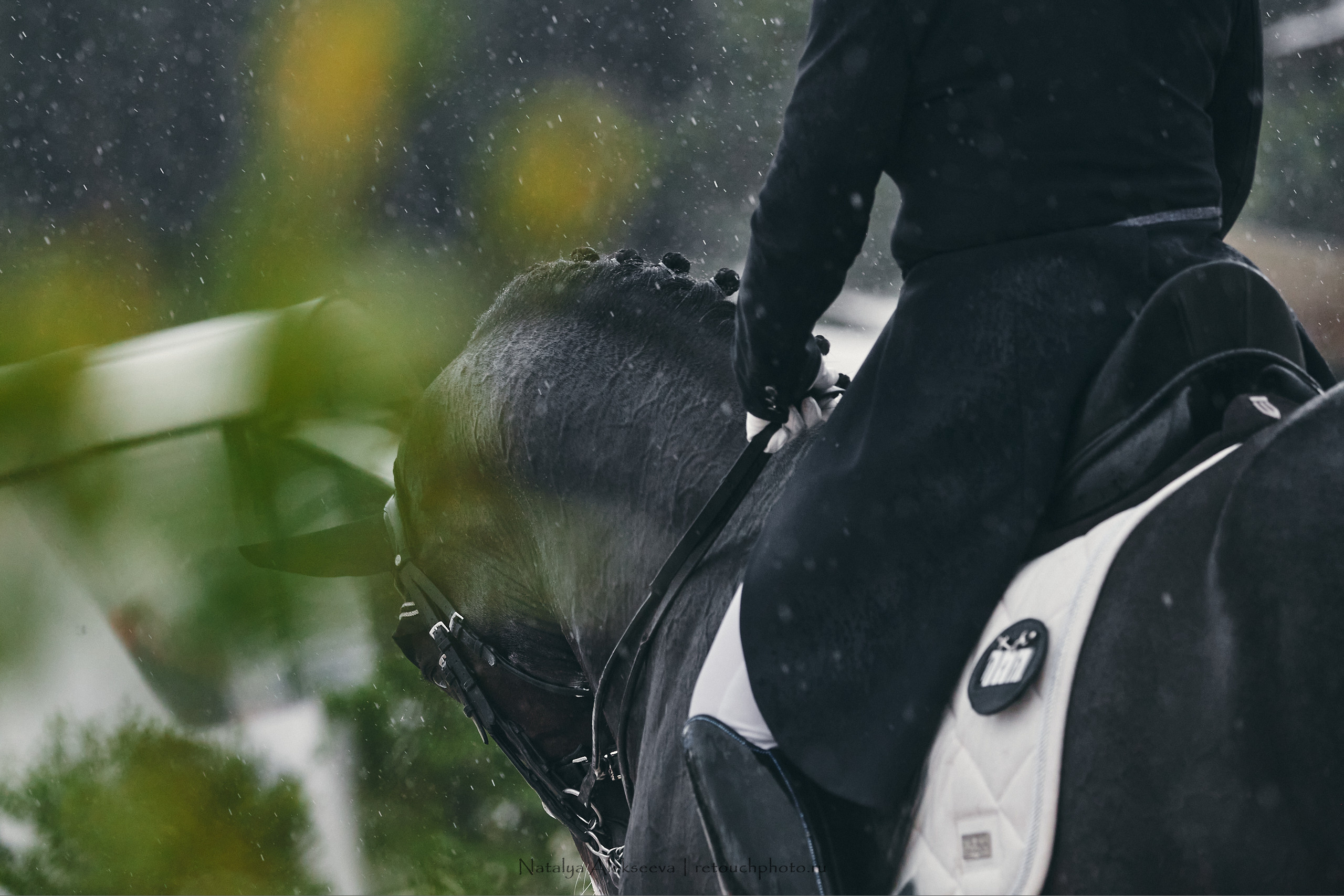 CDI-W/3*/3*/J/YH, КСК Отрада | 09'2021. Репортажный фотограф и ретушер в Москве Наталья Алексеева