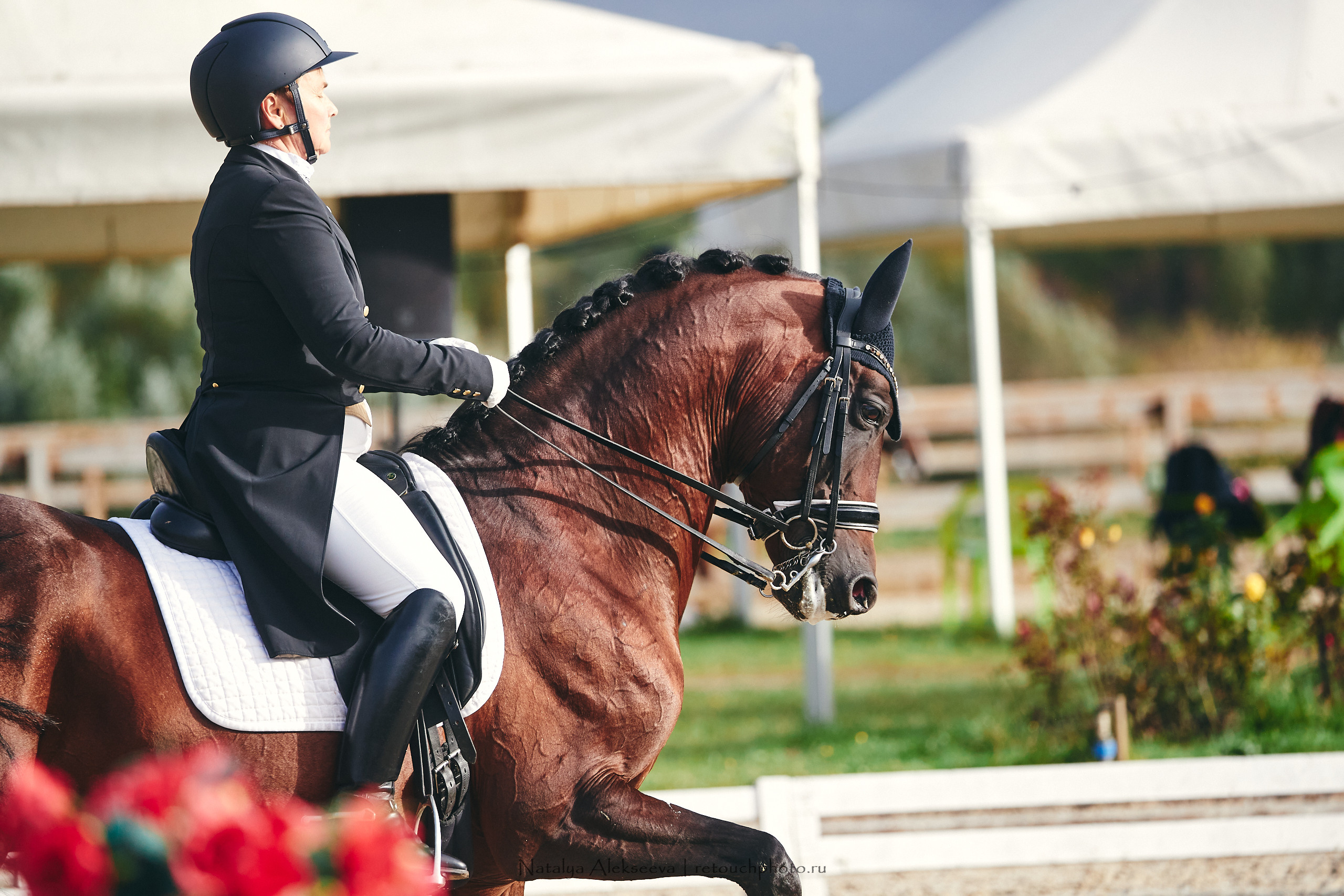 Личный Чемпионат России по выездке, КСК Новый Век | 09'2021. Репортажный фотограф и ретушер в Москве Наталья Алексеева