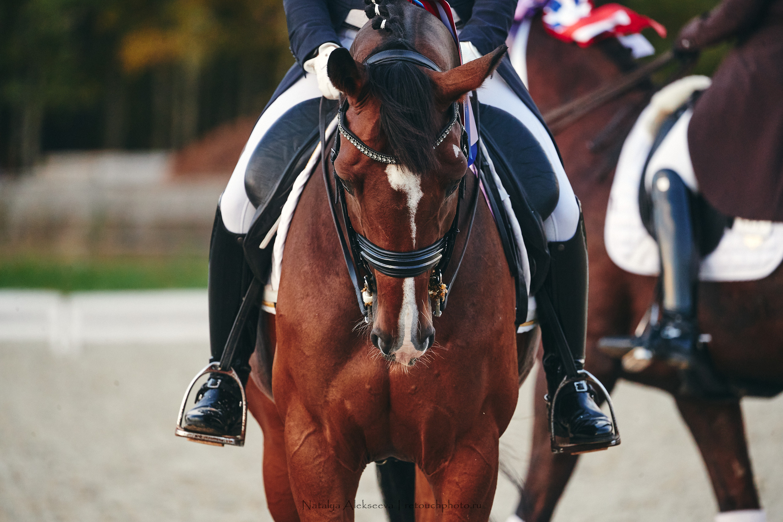 Личный Чемпионат России по выездке, КСК Новый Век | 09'2021. Репортажный фотограф и ретушер в Москве Наталья Алексеева