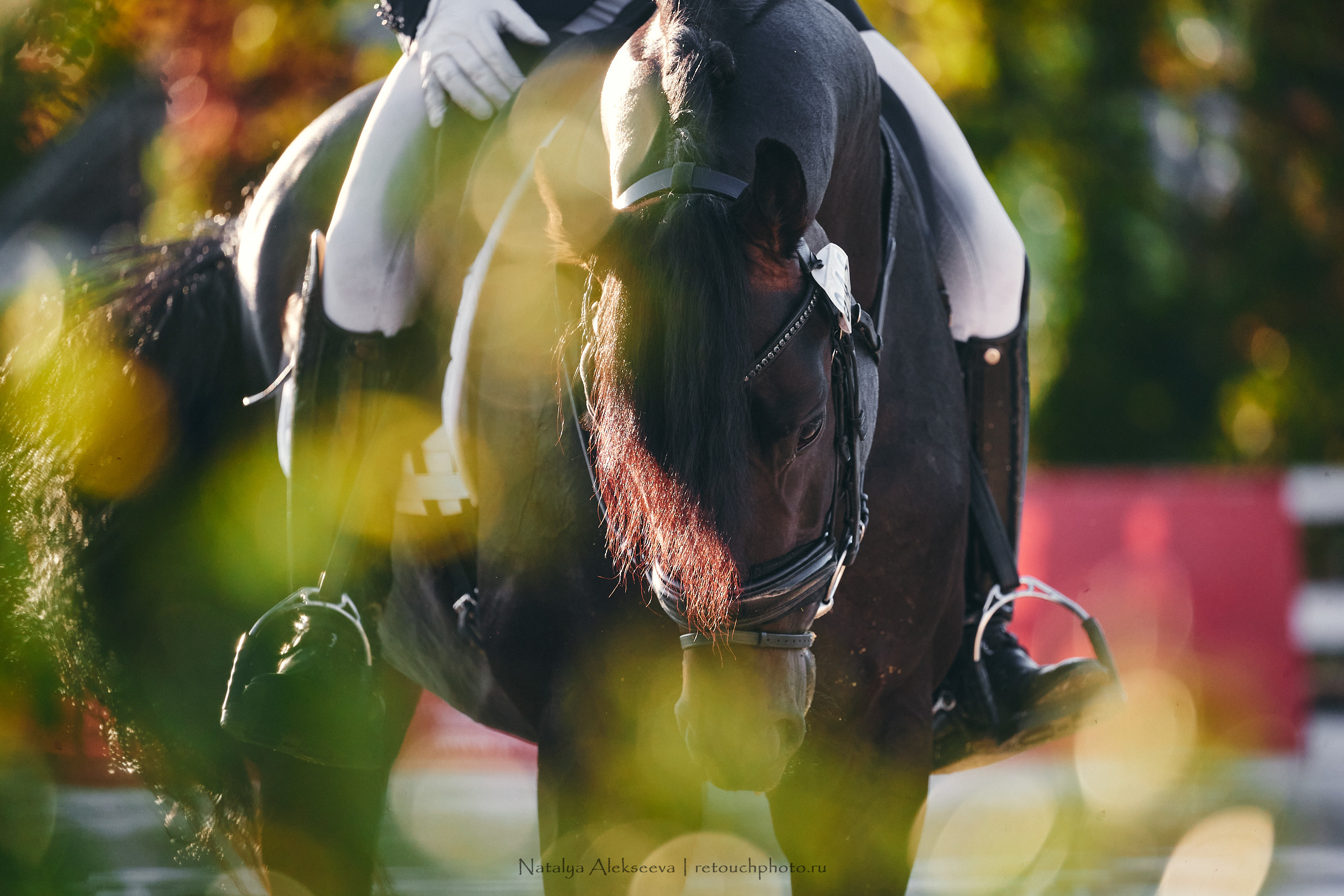 CDI-W/3*/3*/J/YH, КСК Отрада | 09'2021