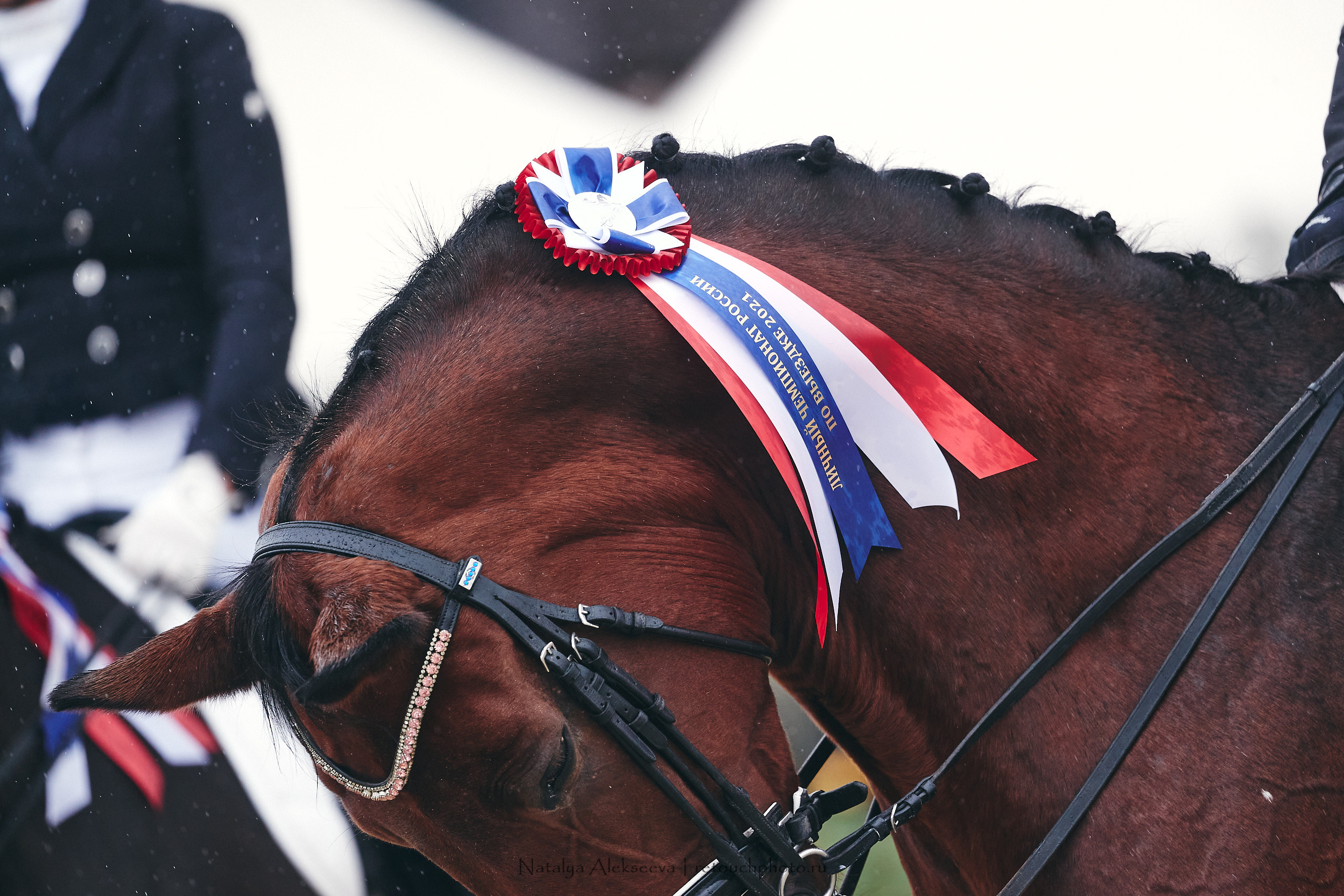 Личный Чемпионат России по выездке, КСК Новый Век | 09'2021
