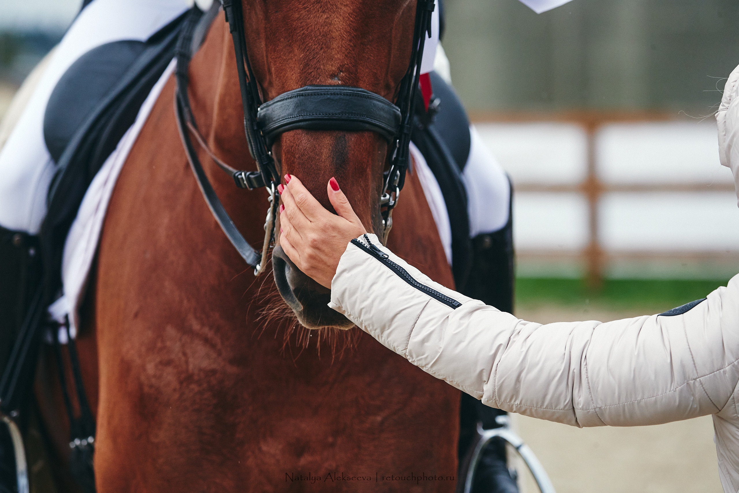 Личный Чемпионат России по выездке, КСК Новый Век | 09'2021. Репортажный фотограф и ретушер в Москве Наталья Алексеева
