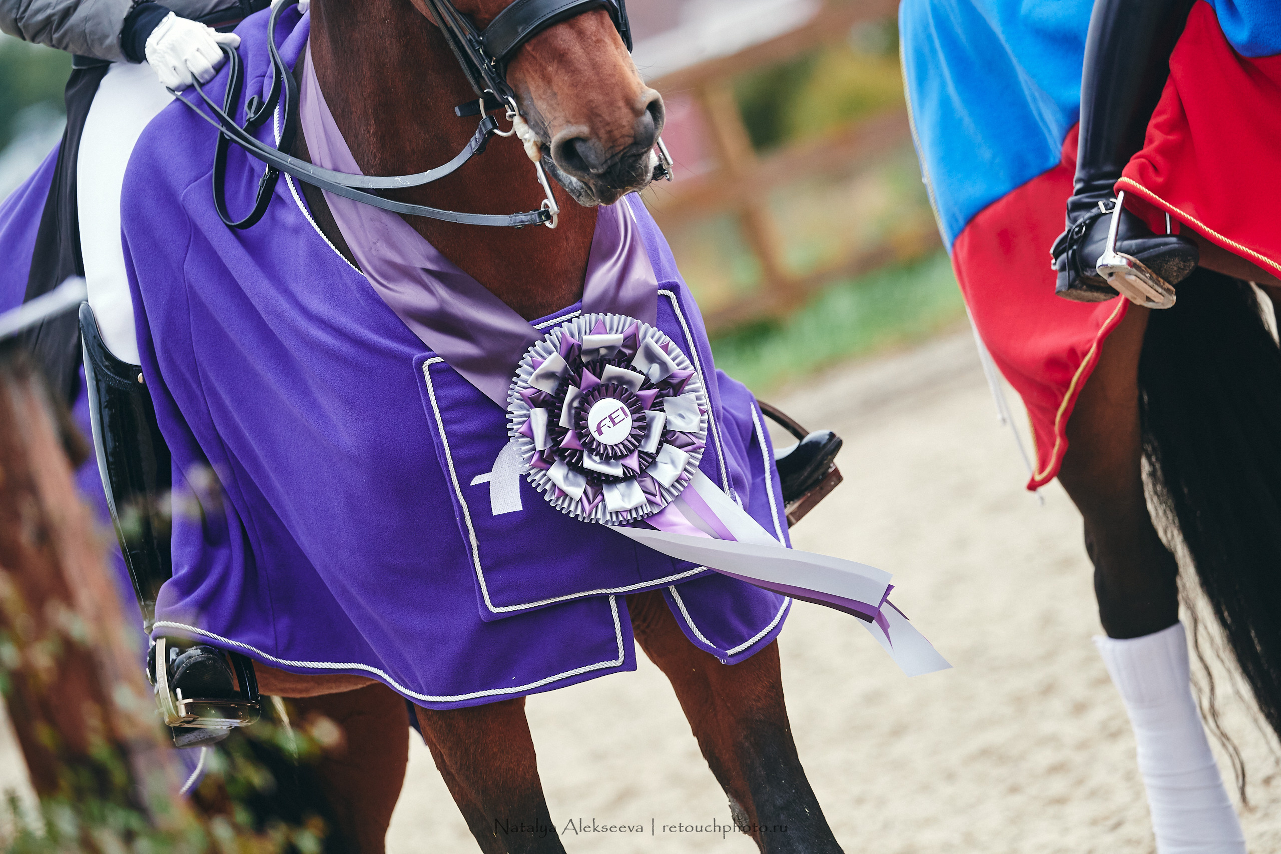 Личный Чемпионат России по выездке, КСК Новый Век | 09'2021. Репортажный фотограф и ретушер в Москве Наталья Алексеева