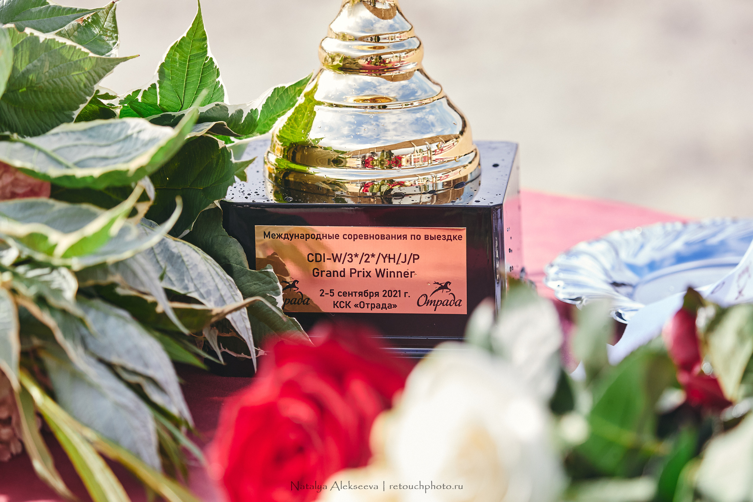 CDI-W/3*/3*/J/YH, КСК Отрада | 09'2021. Репортажный фотограф и ретушер в Москве Наталья Алексеева