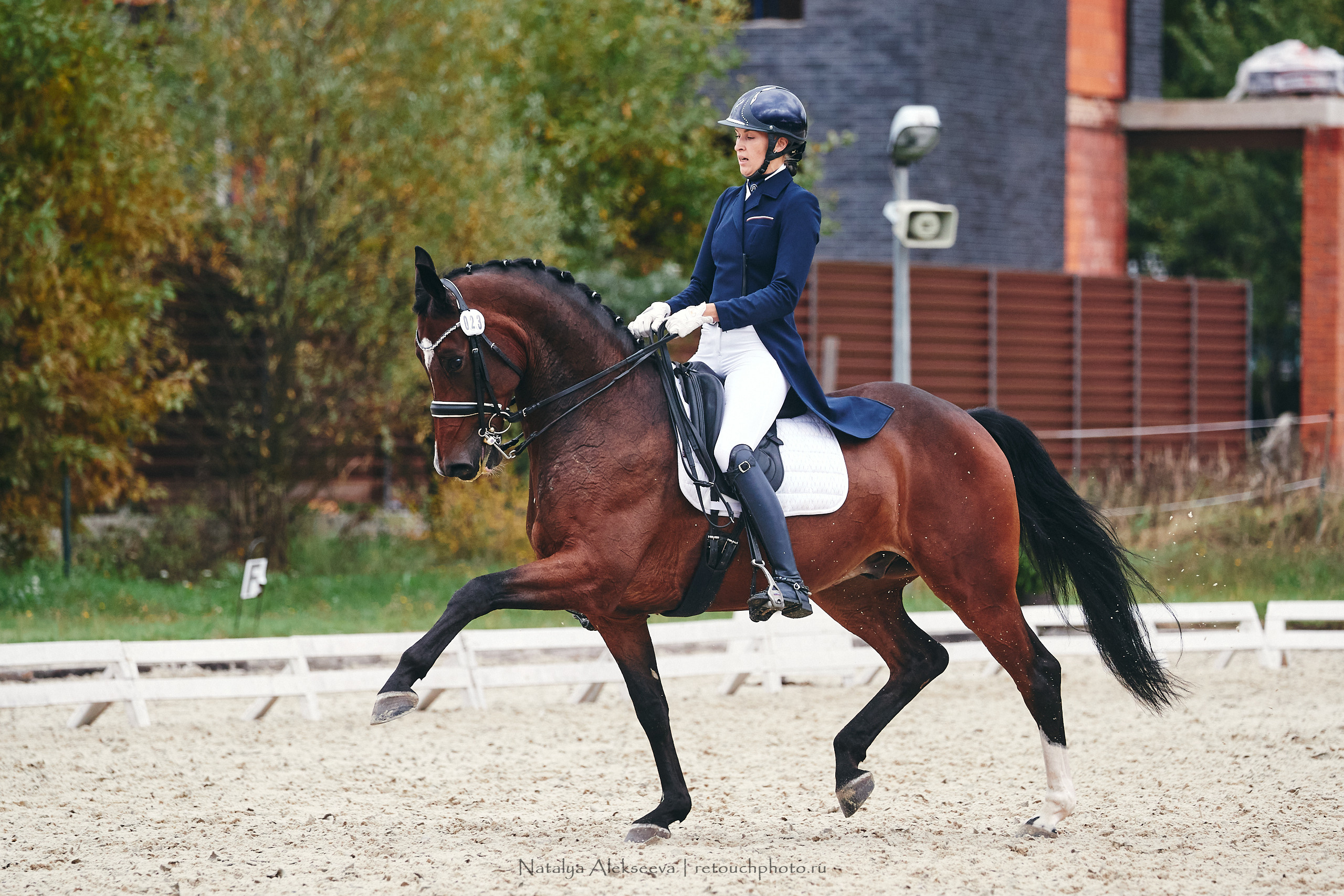 Личный Чемпионат России по выездке, КСК Новый Век | 09'2021. Репортажный фотограф и ретушер в Москве Наталья Алексеева