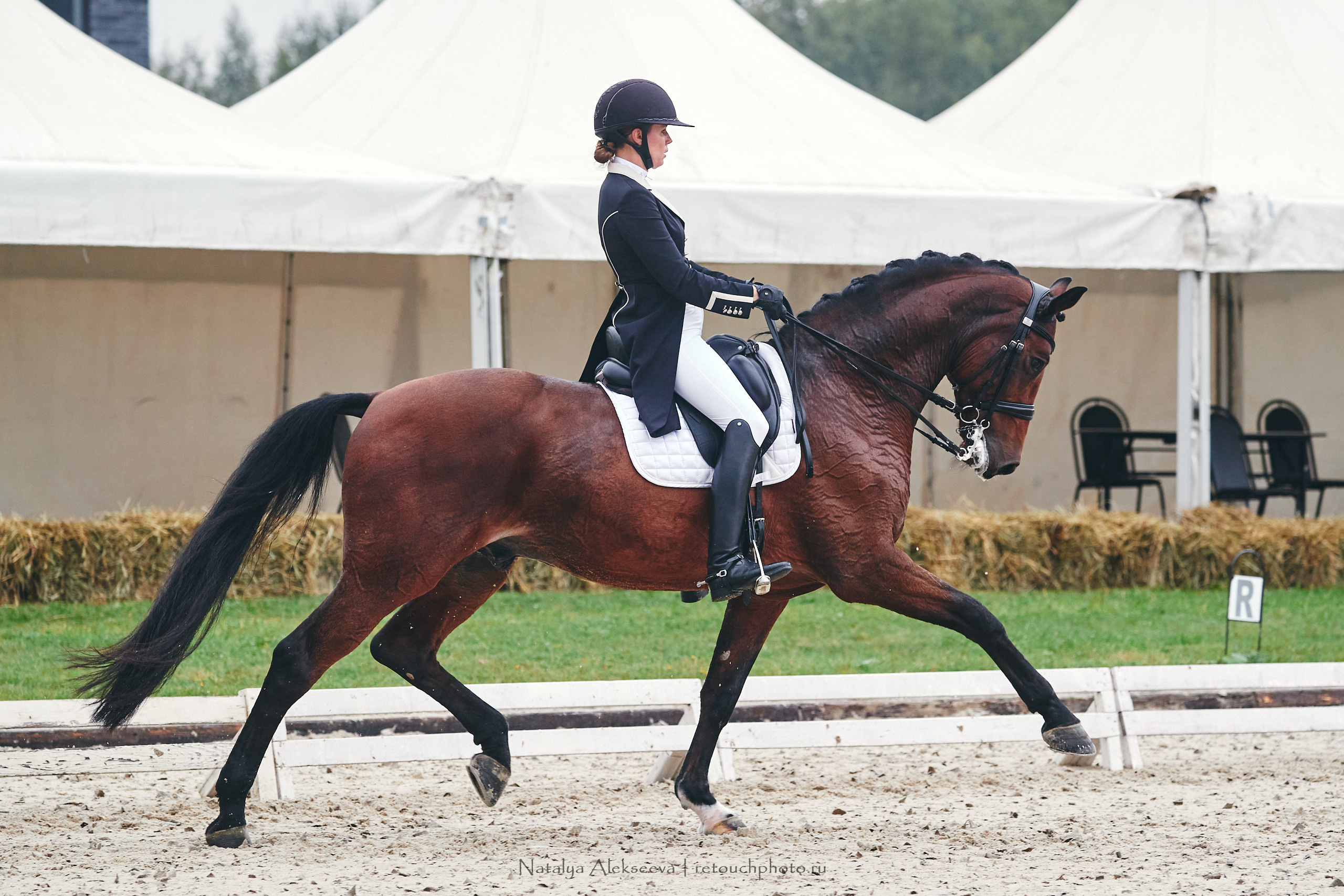 Личный Чемпионат России по выездке, КСК Новый Век | 09'2021. Репортажный фотограф и ретушер в Москве Наталья Алексеева