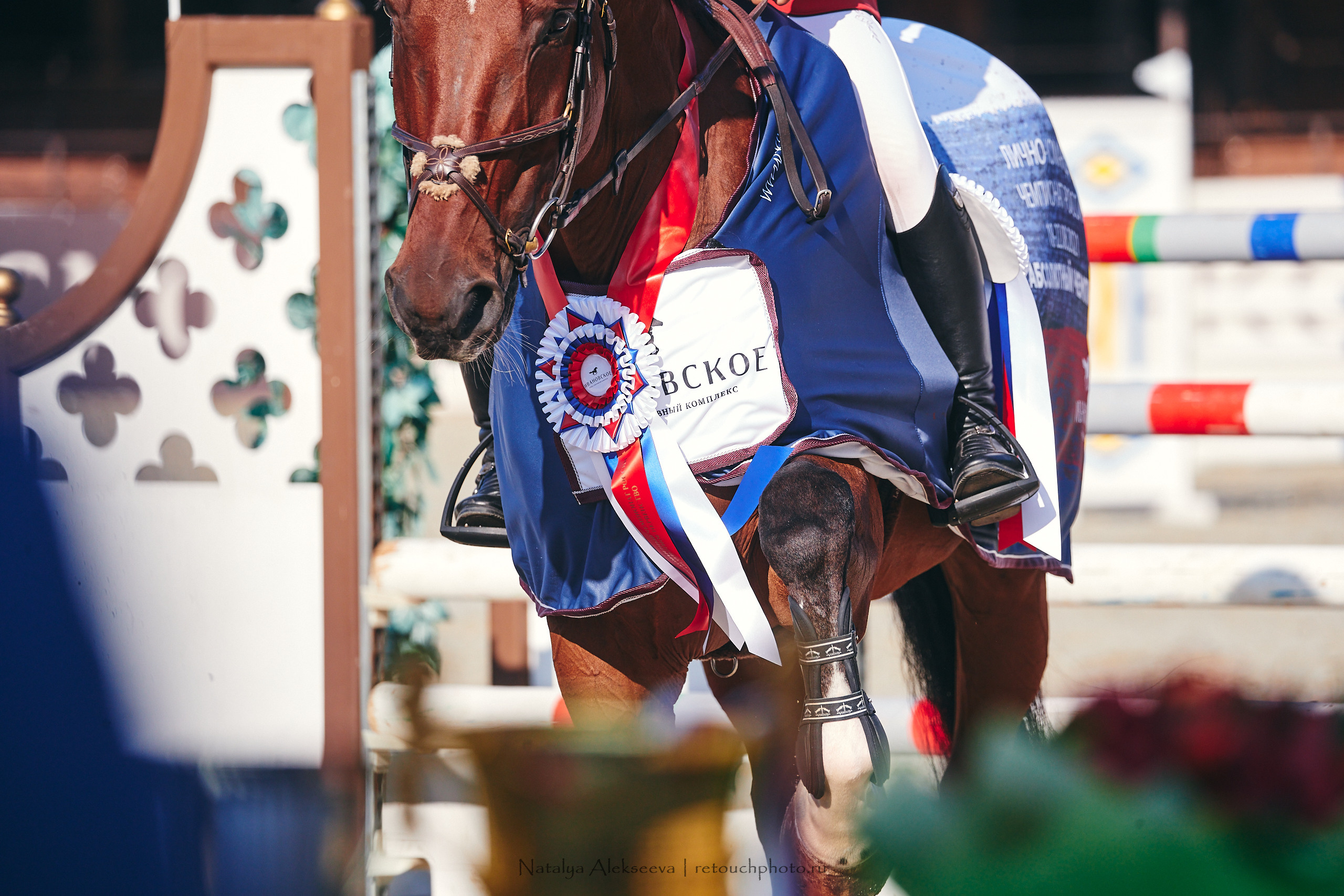 Личный Чемпионат России по конкуру, КСК Ивановское | 08'2021