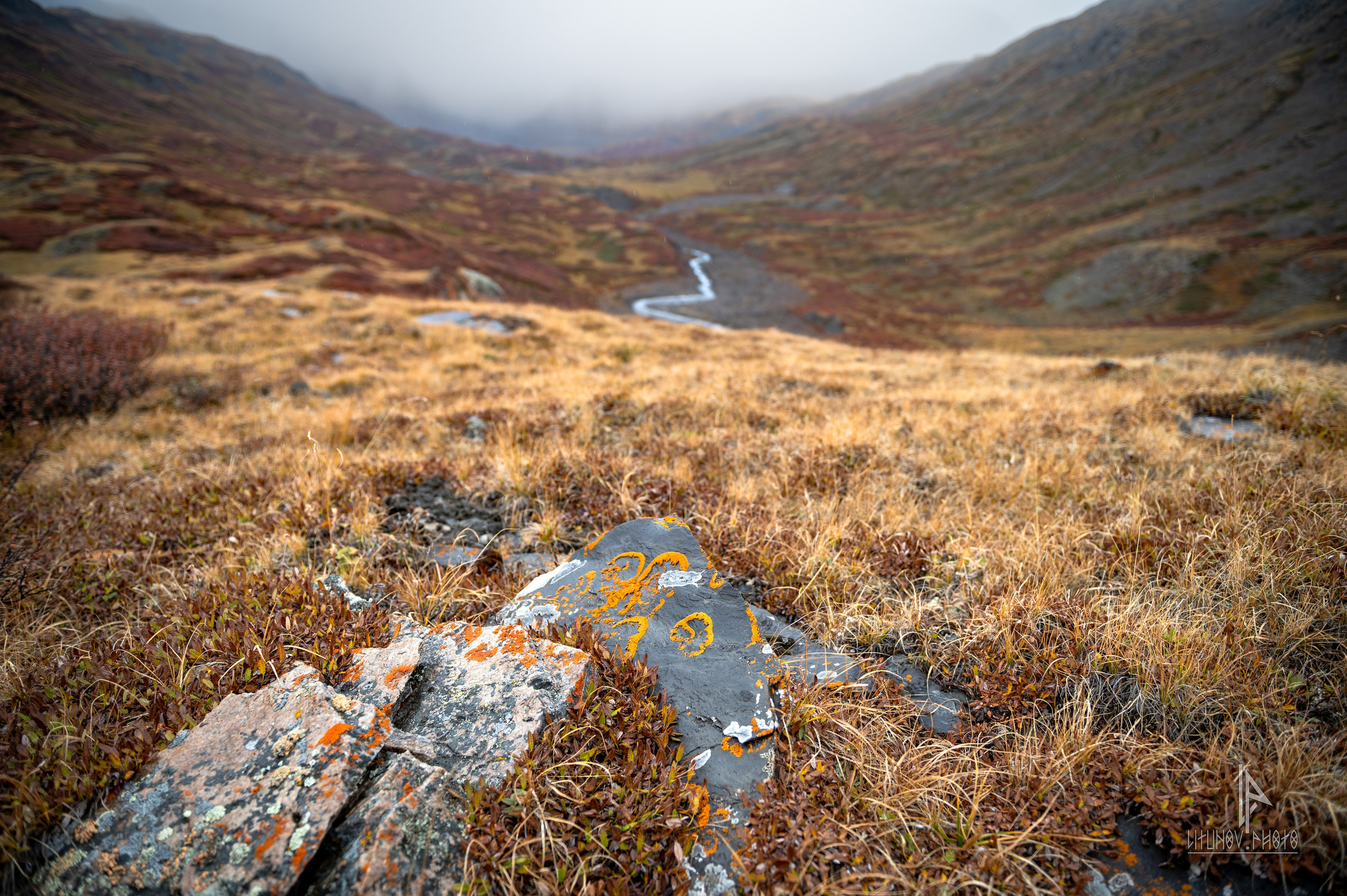 Алтай. Пейзажи. Спортивный и репортажный фотограф Дмитрий Литунов Москва