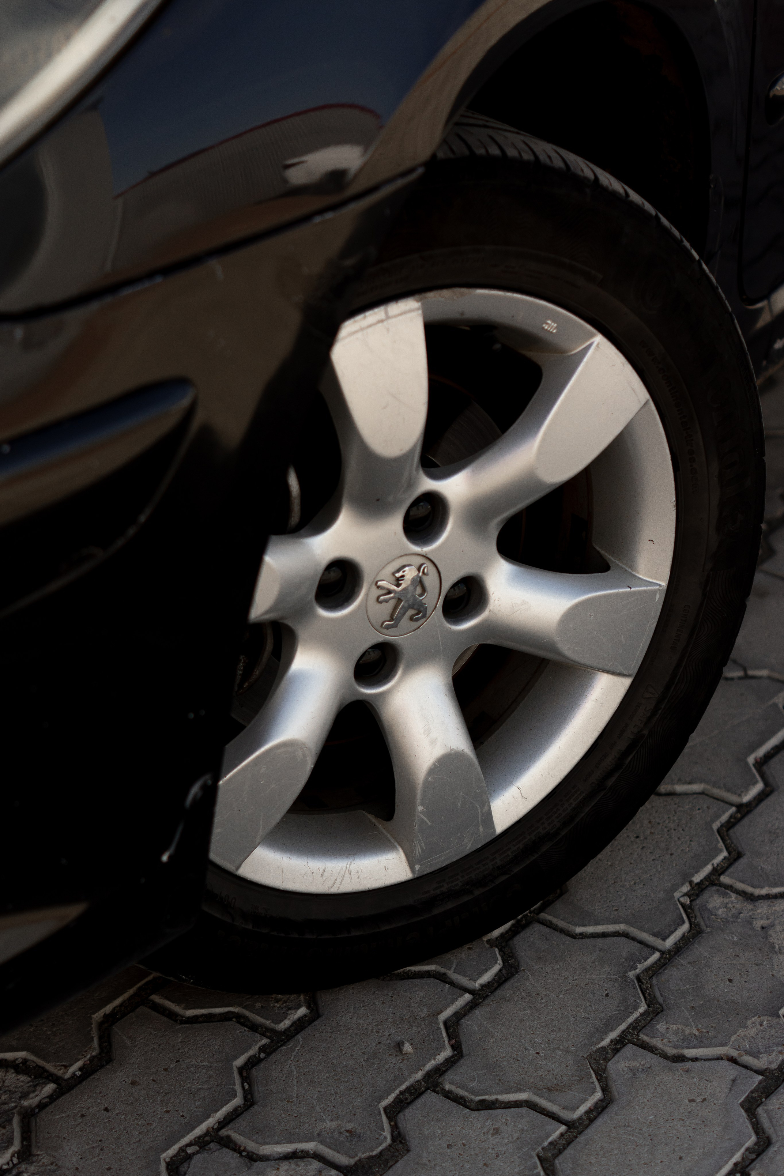 Съёмка для автосалона «Звезда Сибири». Женский фотограф Омск, Екатерина Петрова