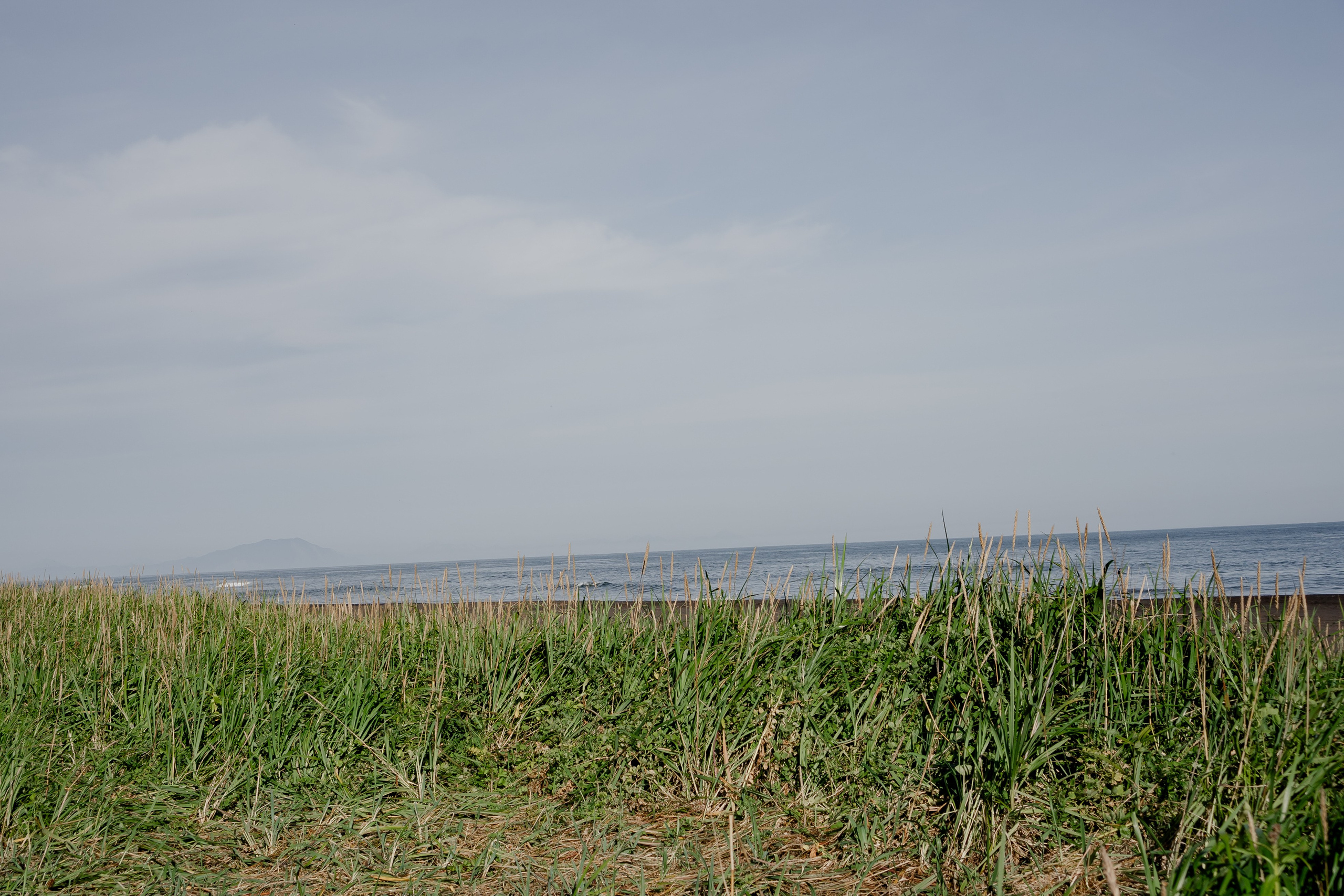 Мыс Маячный на Камчатке. Профессиональный фотограф, Санкт-Петербург — Виктория Богомолова