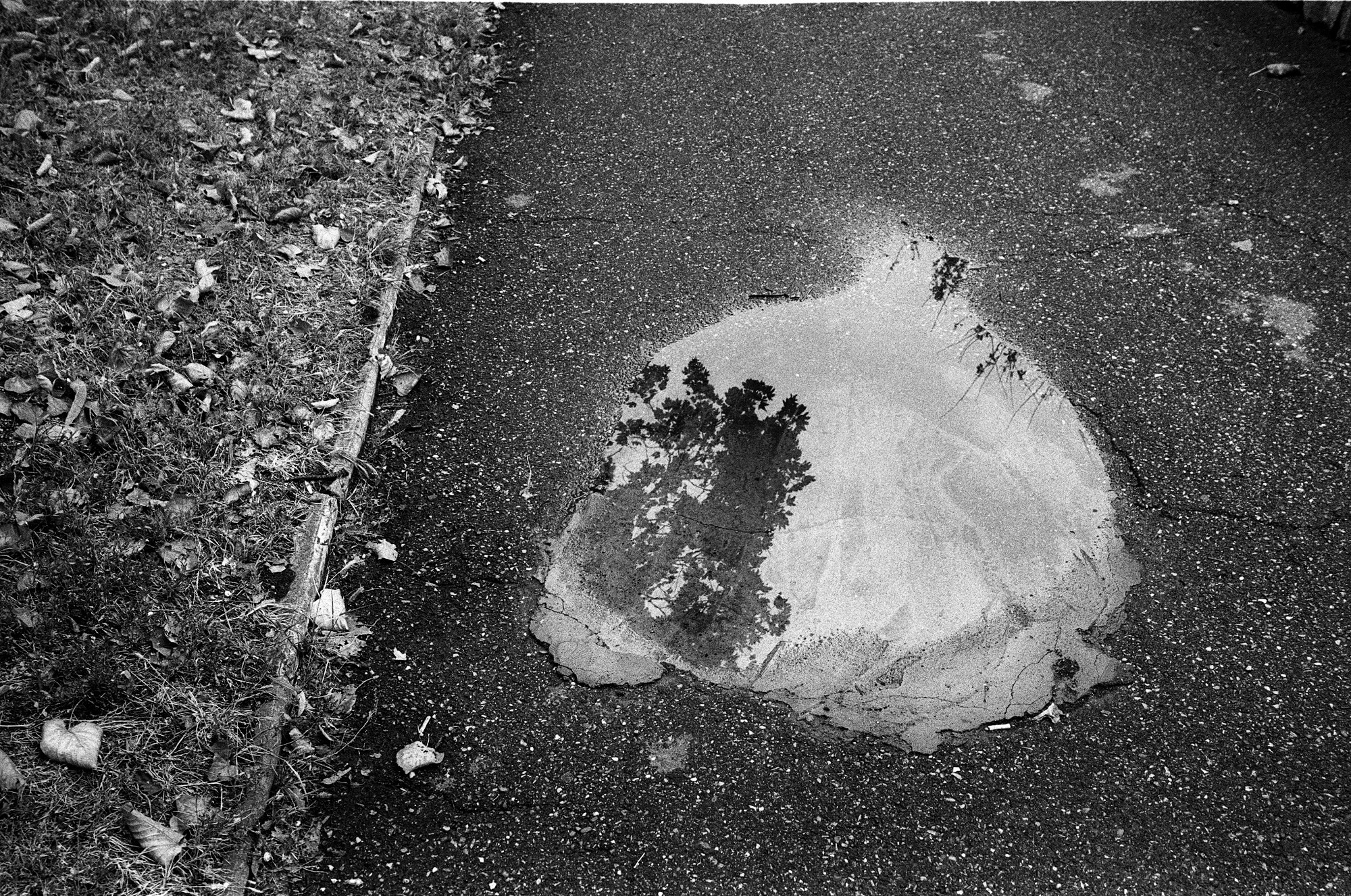 Пятигорск. Другой Павел Поцелуев. Фотограф в 2025 году