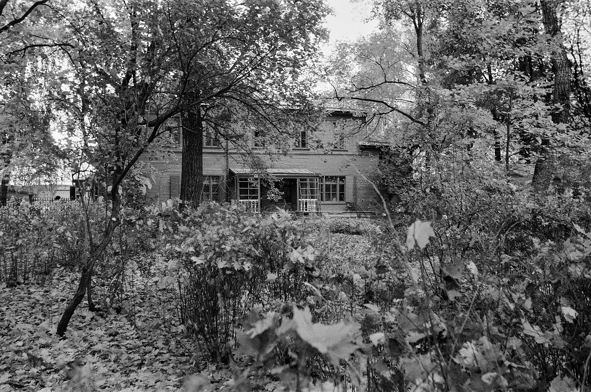 Природа. Другой Павел Поцелуев. Фотограф в 2025 году