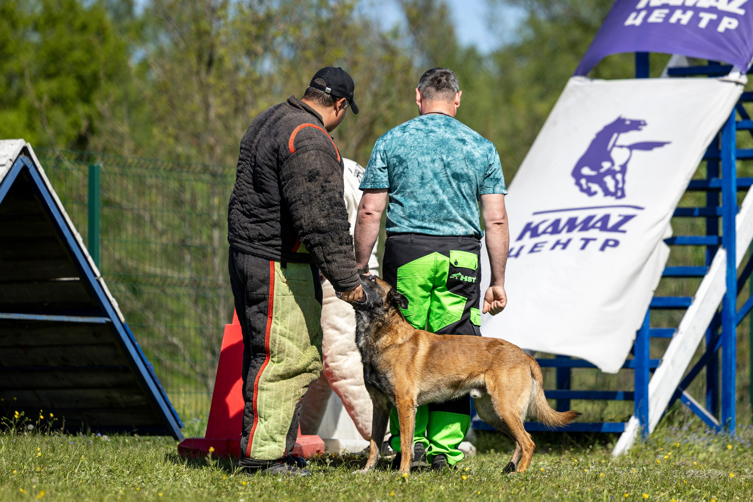 Испытания по мондьорингу в Нижнем Новгороде. Фотограф-анималист Анна Маринич