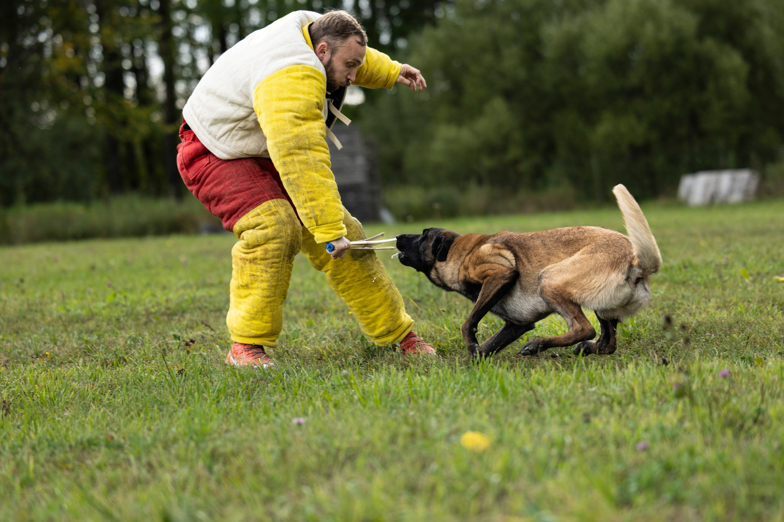 Испытания по Мондьорингу г. Пушкин. Фотограф-анималист Анна Маринич