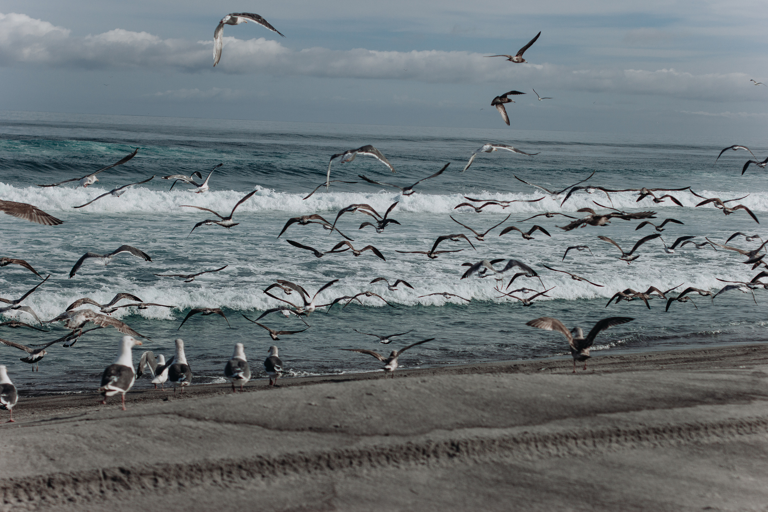 SakhTravel. Фотограф Итуруп | Курильские острова