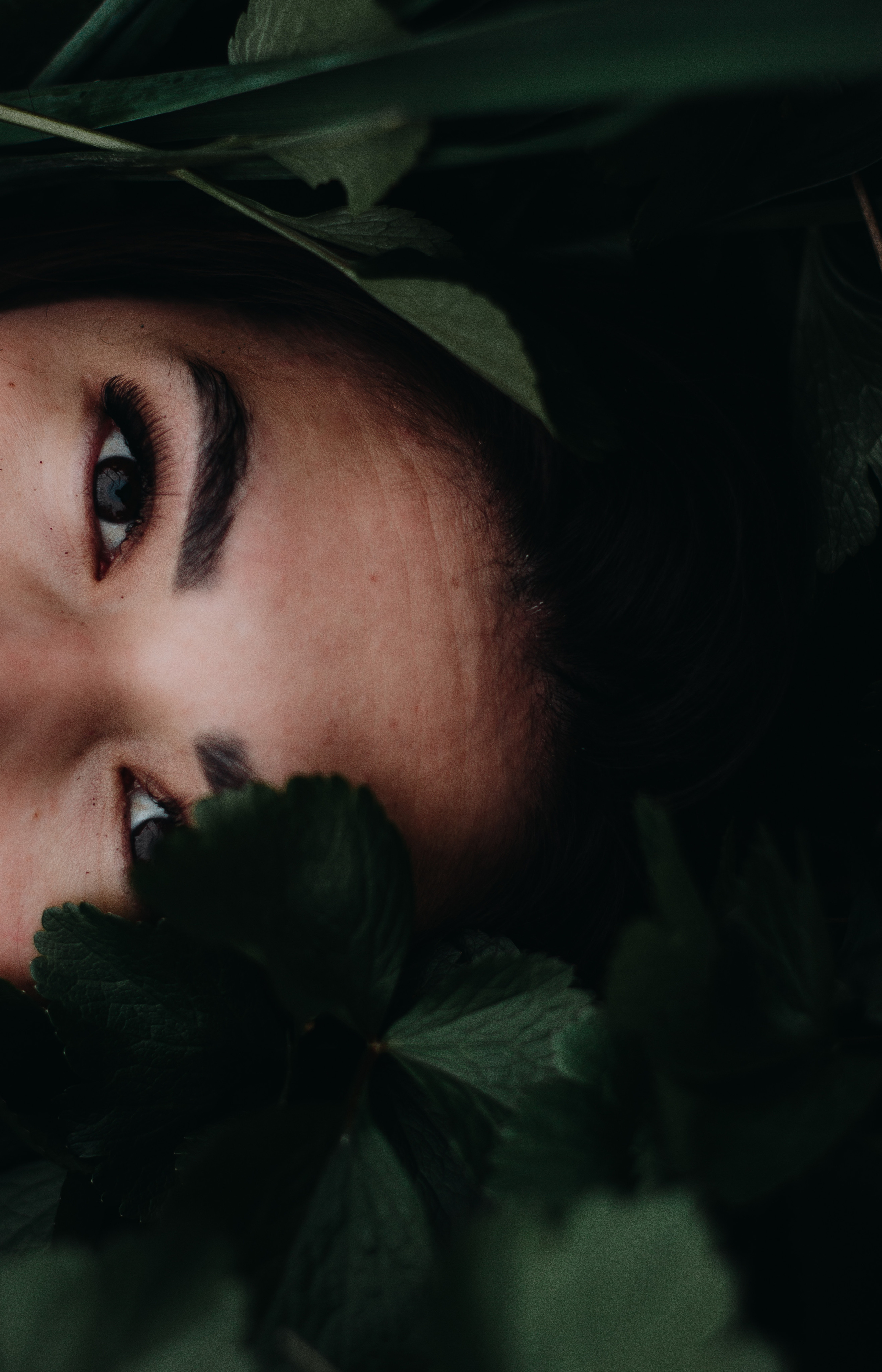 Закат на Итурупе. Фотограф Итуруп | Курильские острова