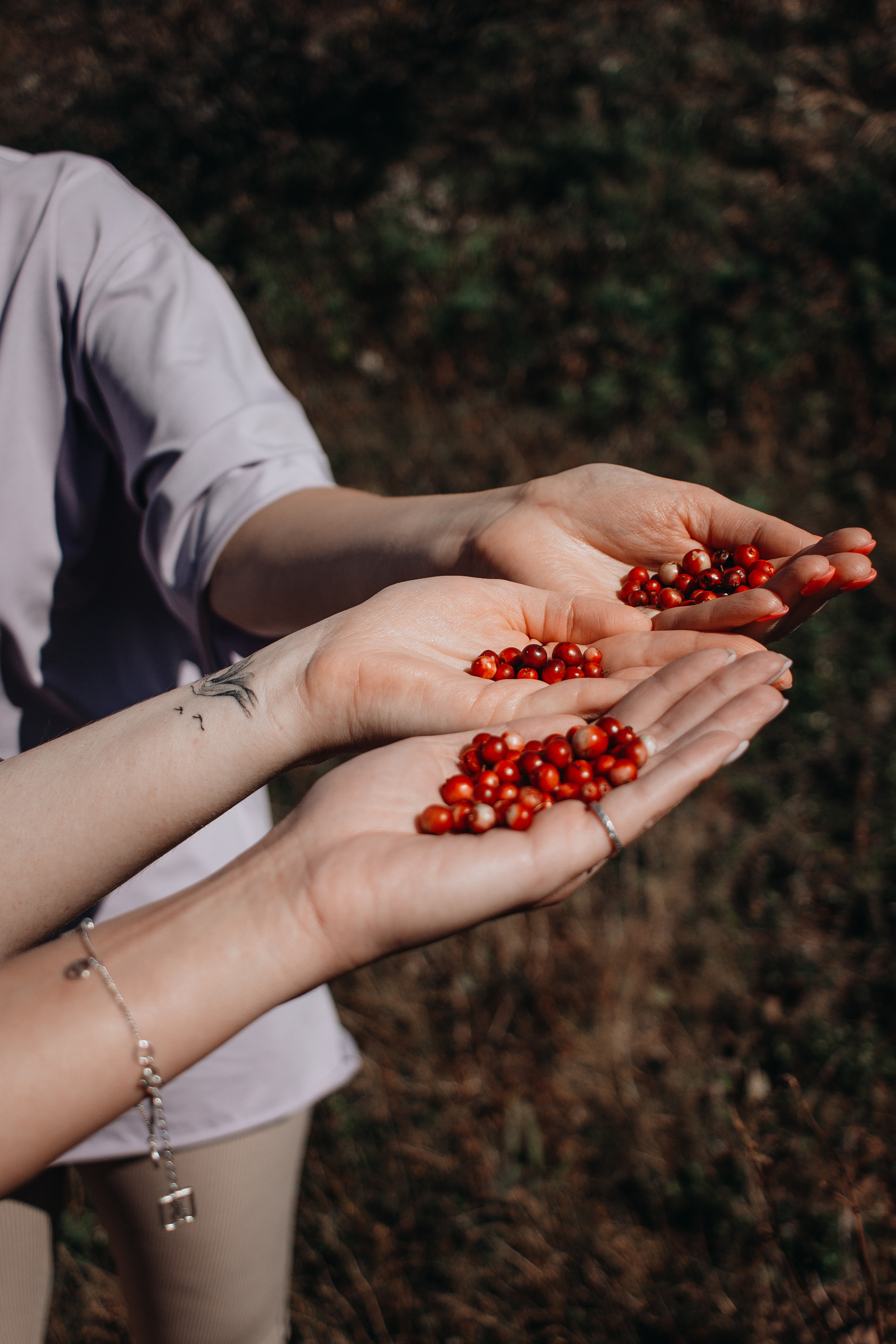 Авторский тур «Olya_kudazavtra». Фотограф Итуруп | Курильские острова