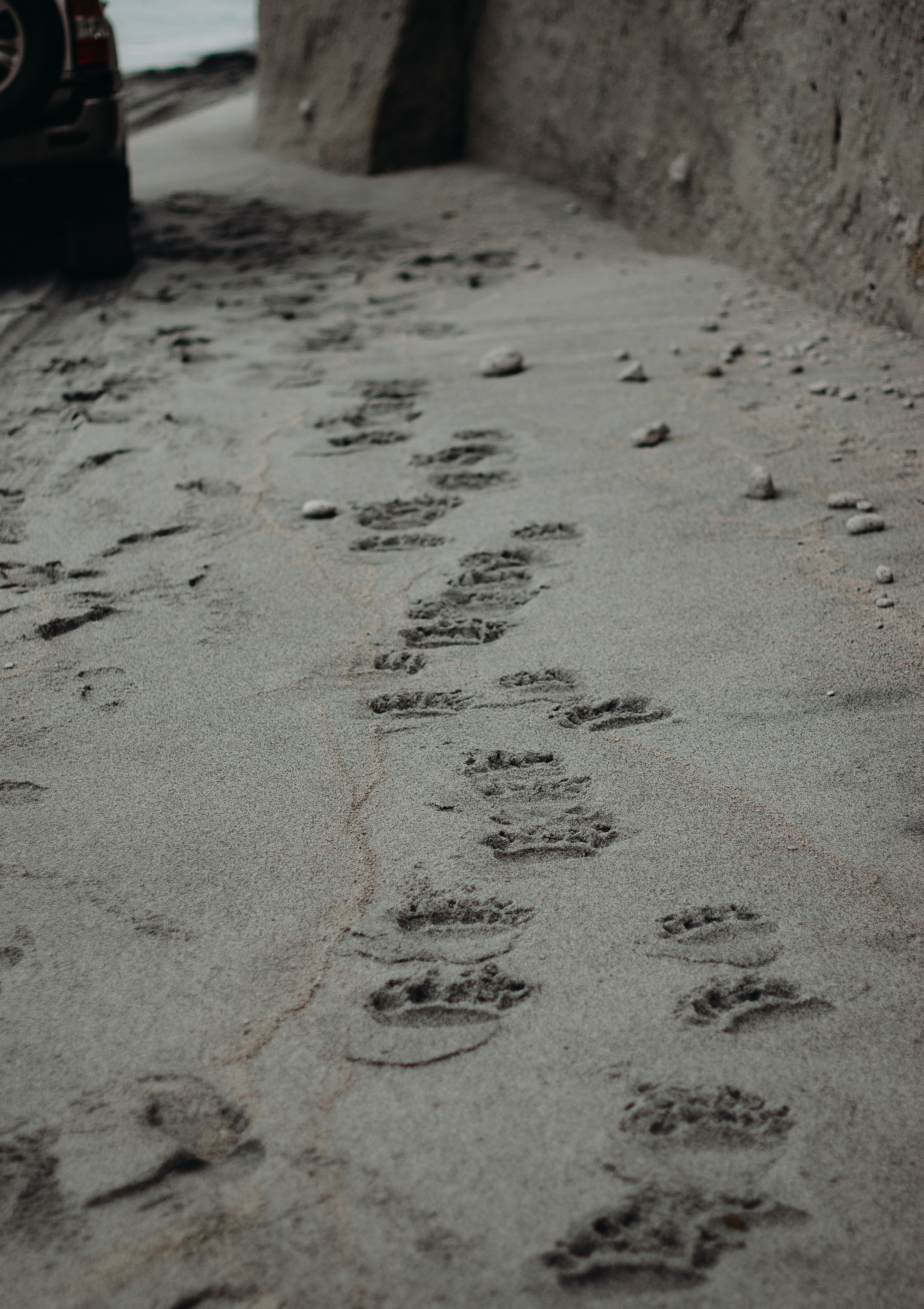 Авторский тур Духиновых-Романовых. Фотограф Итуруп | Курильские острова