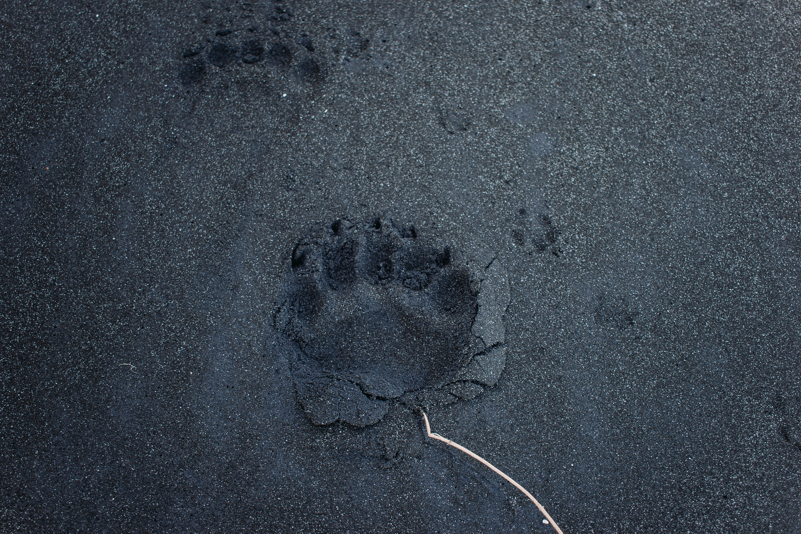 SakhTravel. Фотограф Итуруп | Курильские острова