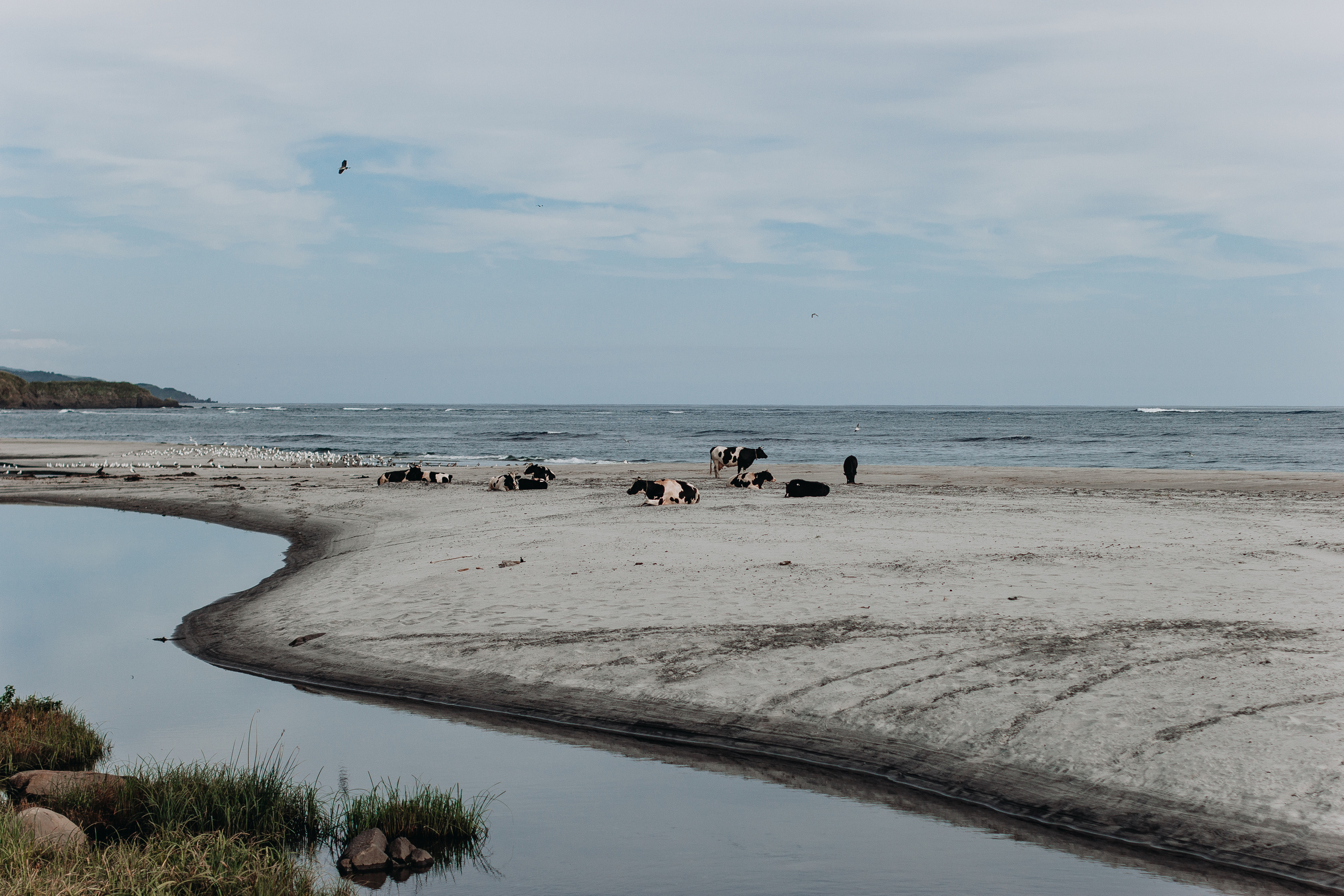 SakhTravel. Фотограф Итуруп | Курильские острова