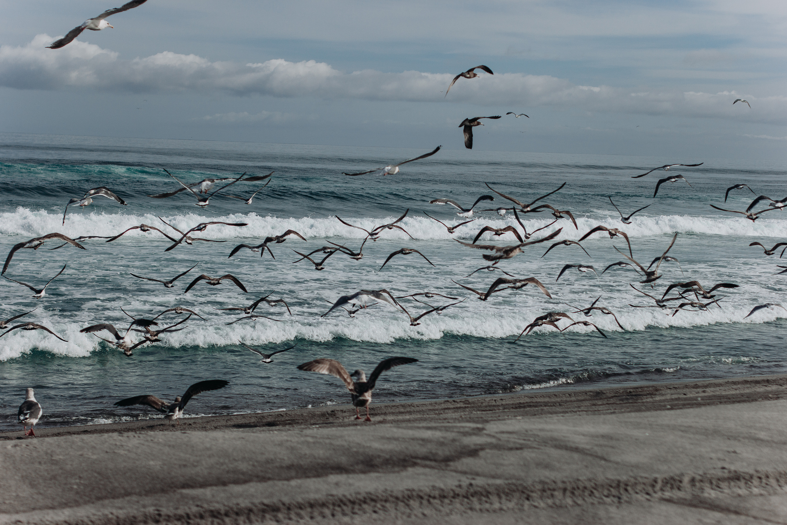 SakhTravel. Фотограф Итуруп | Курильские острова