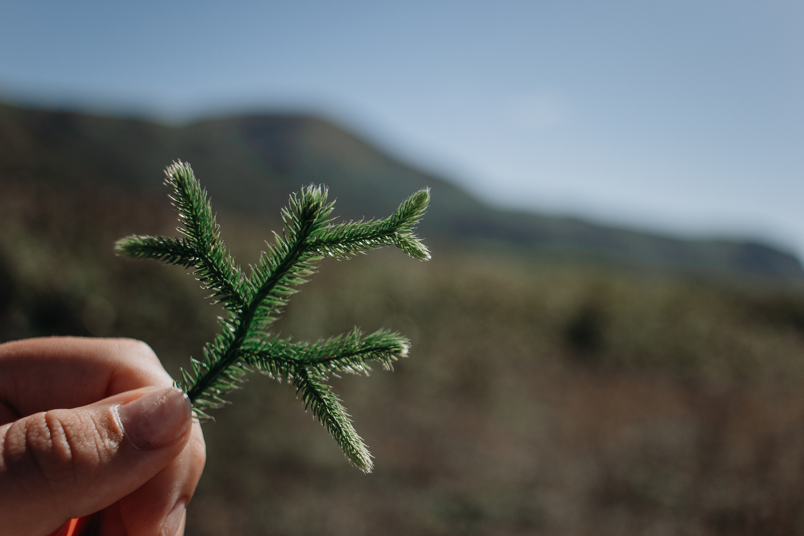 Авторский тур «Olya_kudazavtra». Фотограф Итуруп | Курильские острова