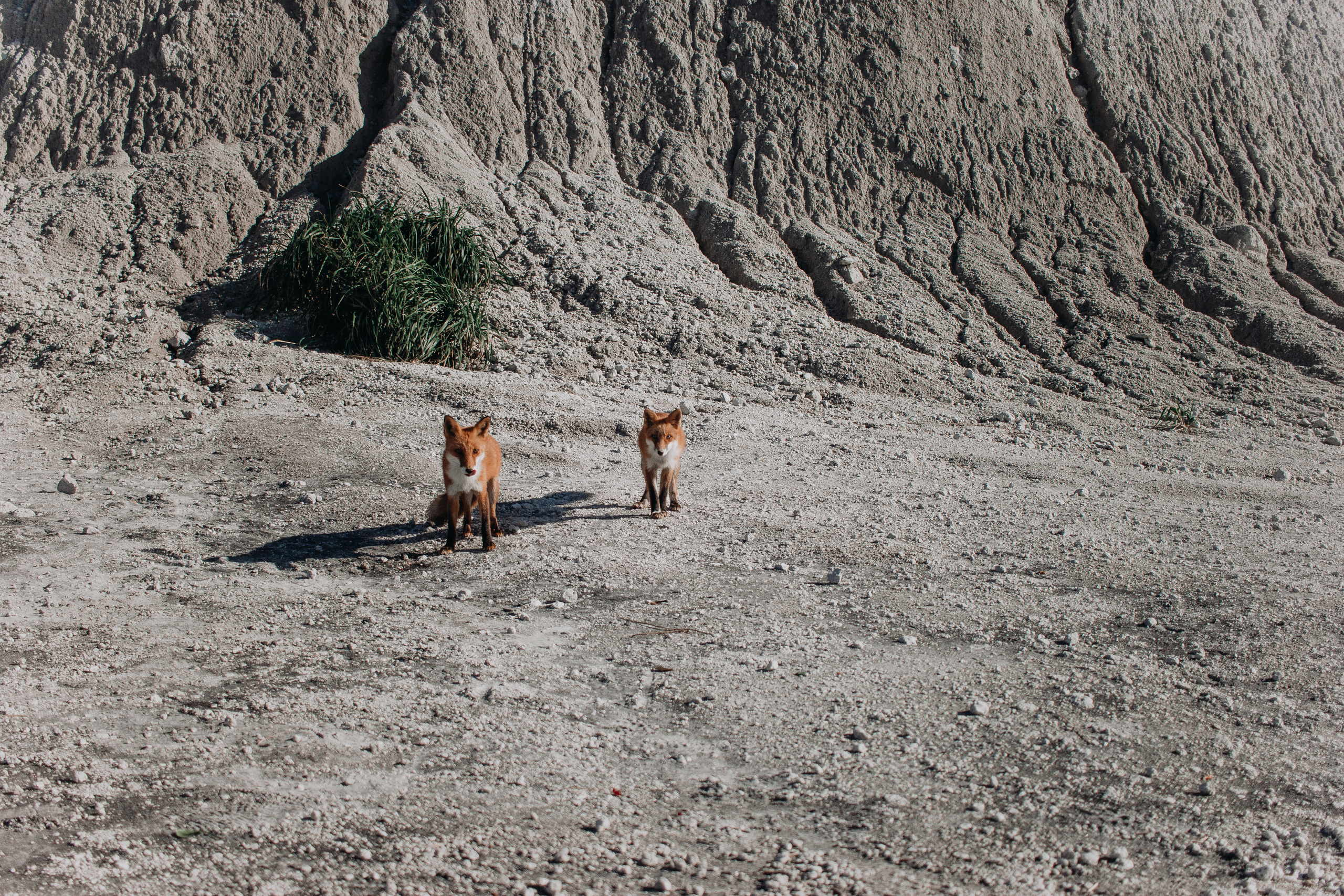 Авторский тур «Olya_kudazavtra». Фотограф Итуруп | Курильские острова